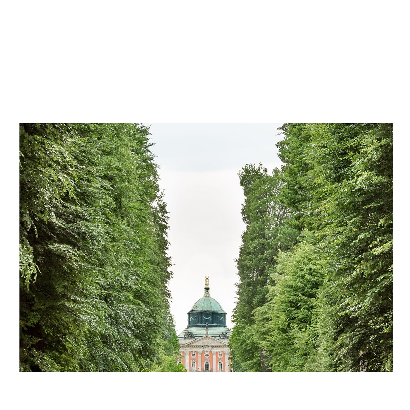 SIM_PTS_1443 Fotografia