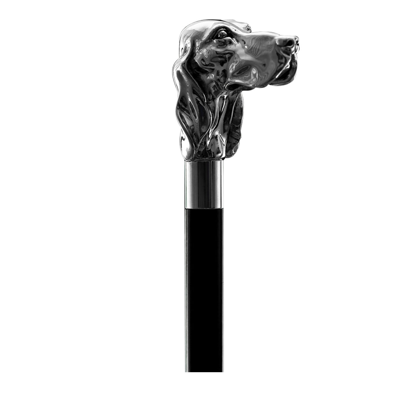 Bastone da passeggio Fido