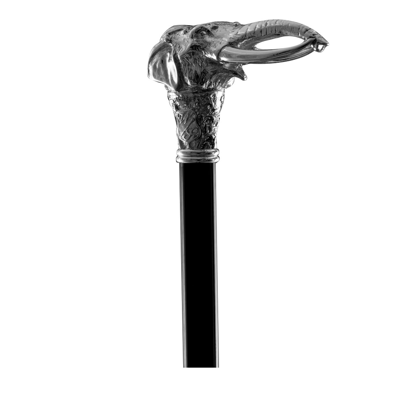 Bastone da passeggio per elefanti