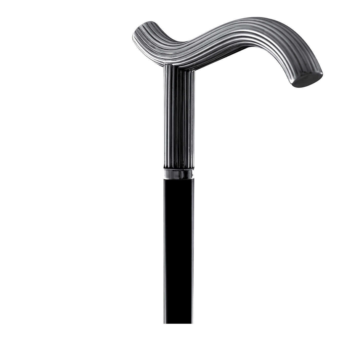 Bastone da passeggio a coste