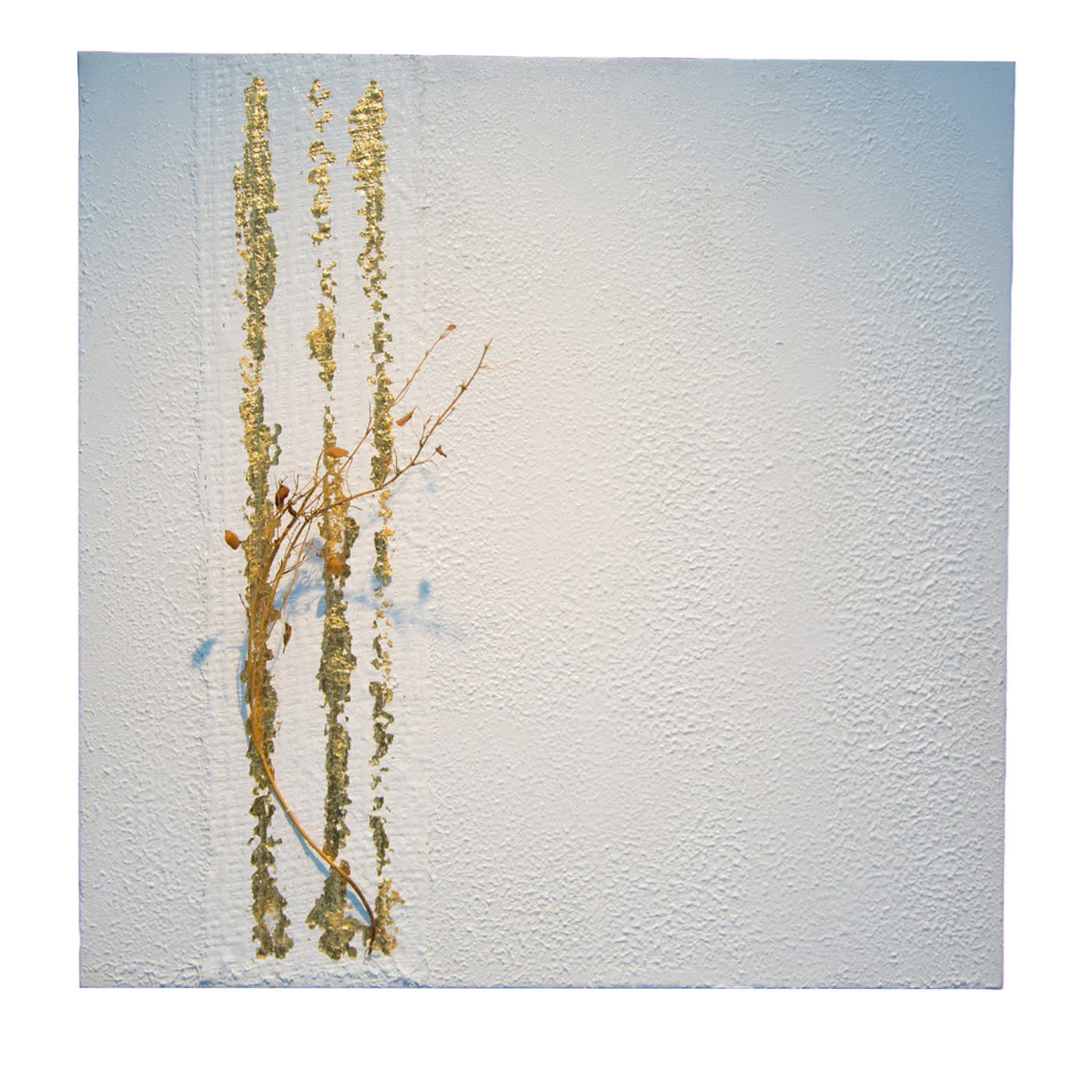 Naturalia 1.3 Opera d'arte