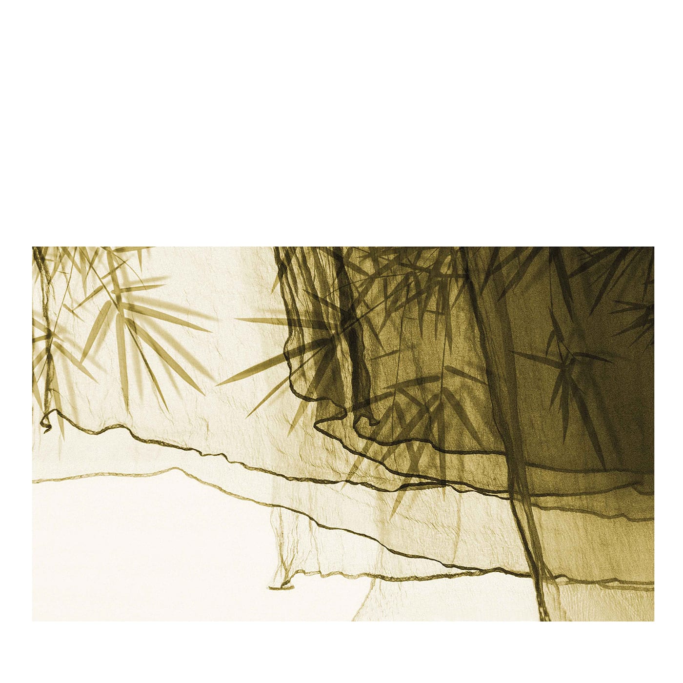 Carta da parati Floating on Bamboo