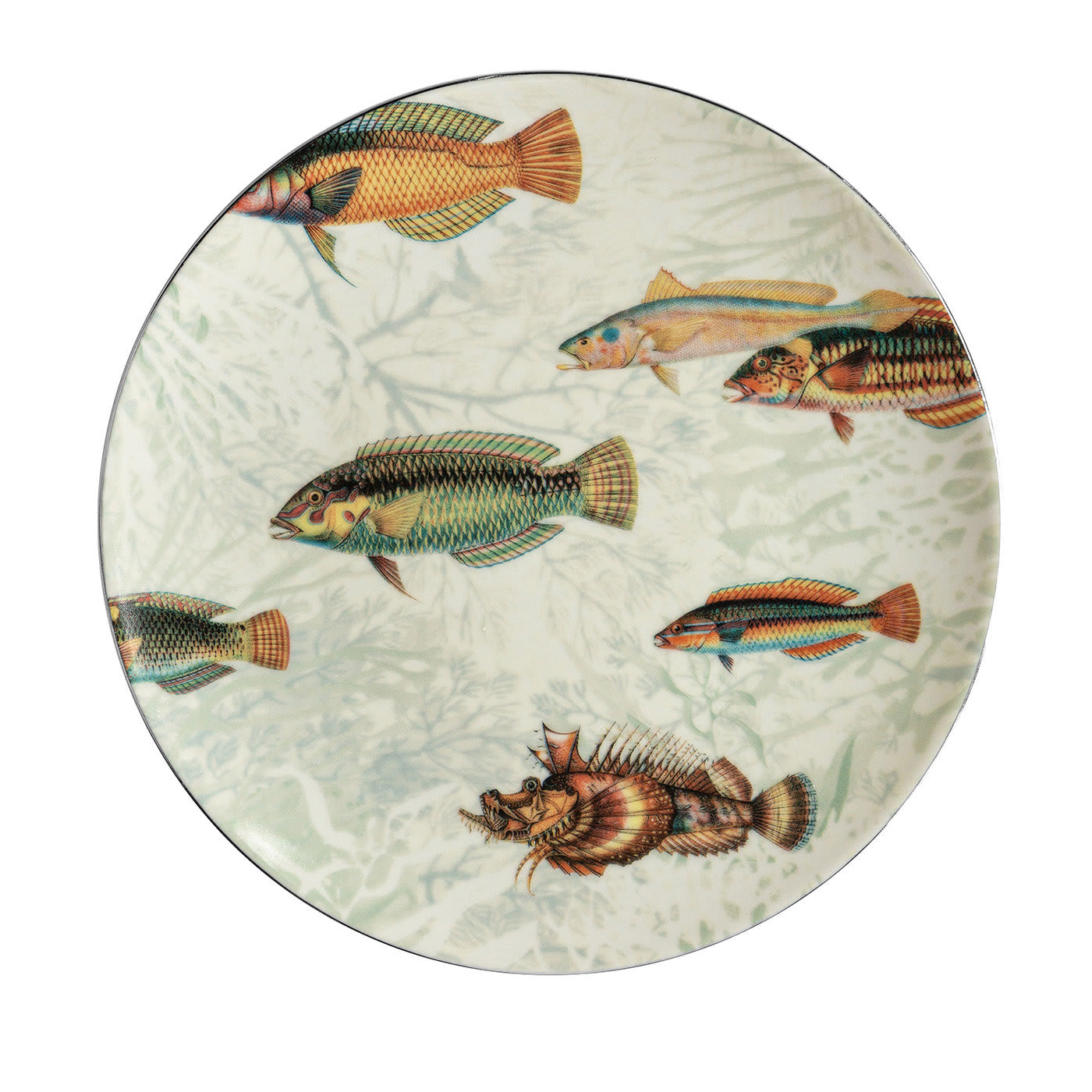 Amami Set di 2 piatti da dessert in porcellana con pesci tropicali #3