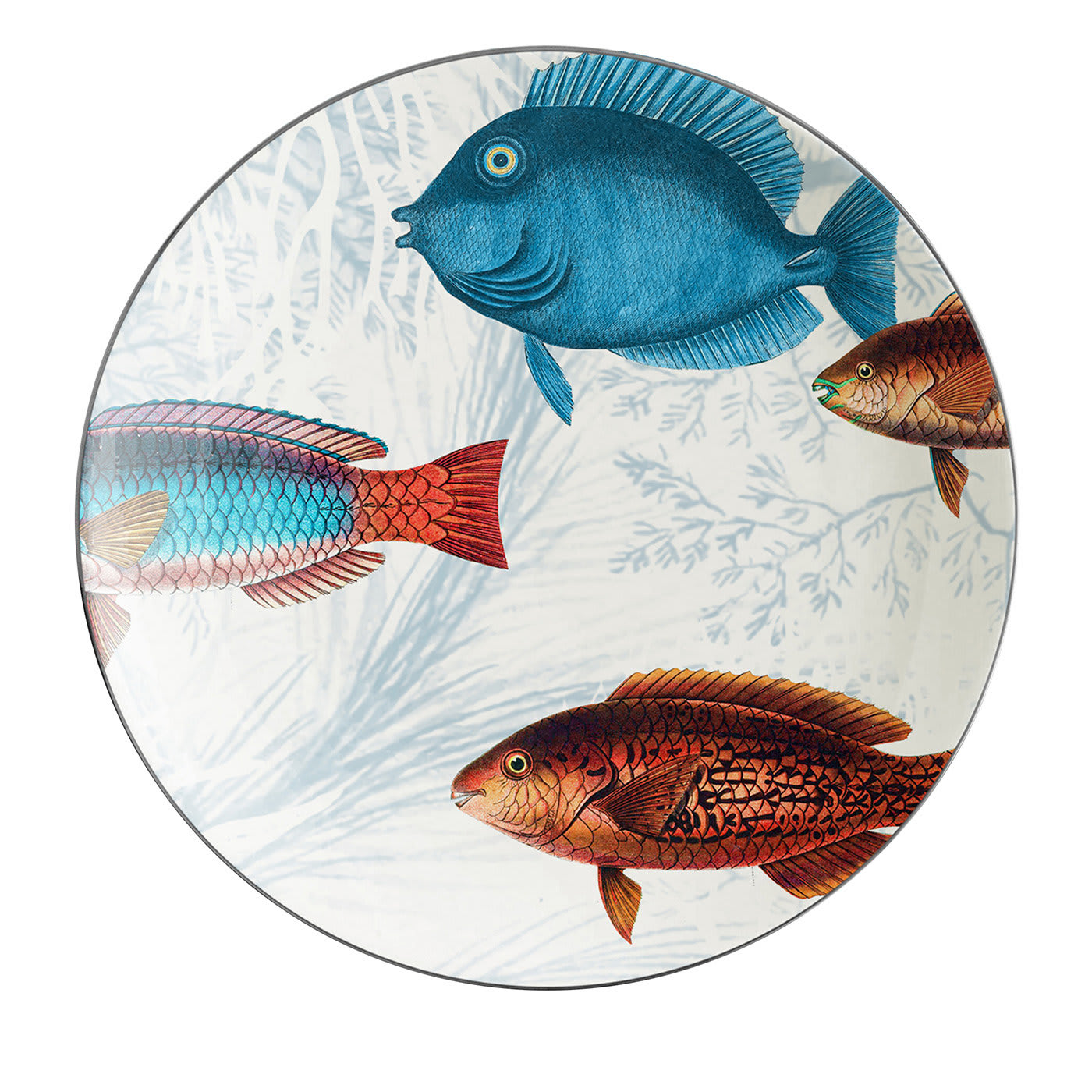 Amami Set di 2 piatti da pane in porcellana con pesci tropicali #1