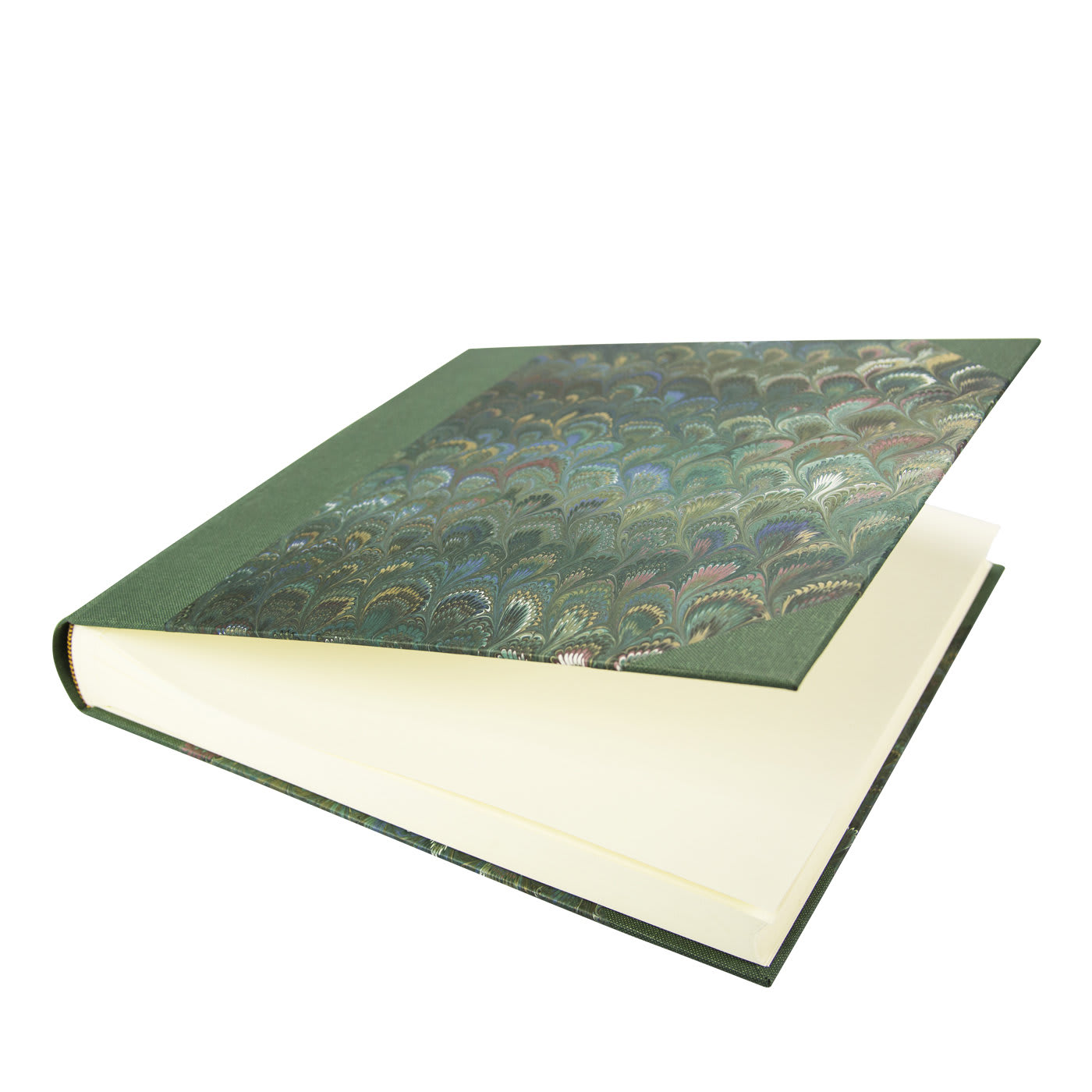 Album Pavoni in tela e carta di grandi dimensioni