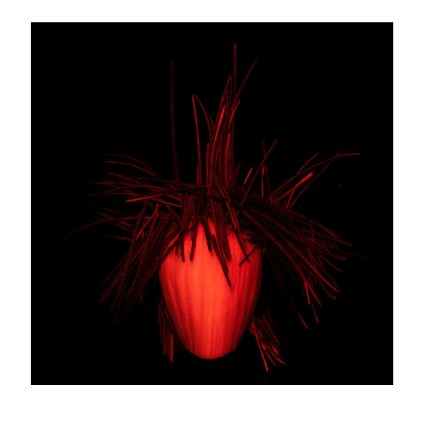 Casa morta #4 Fotografia