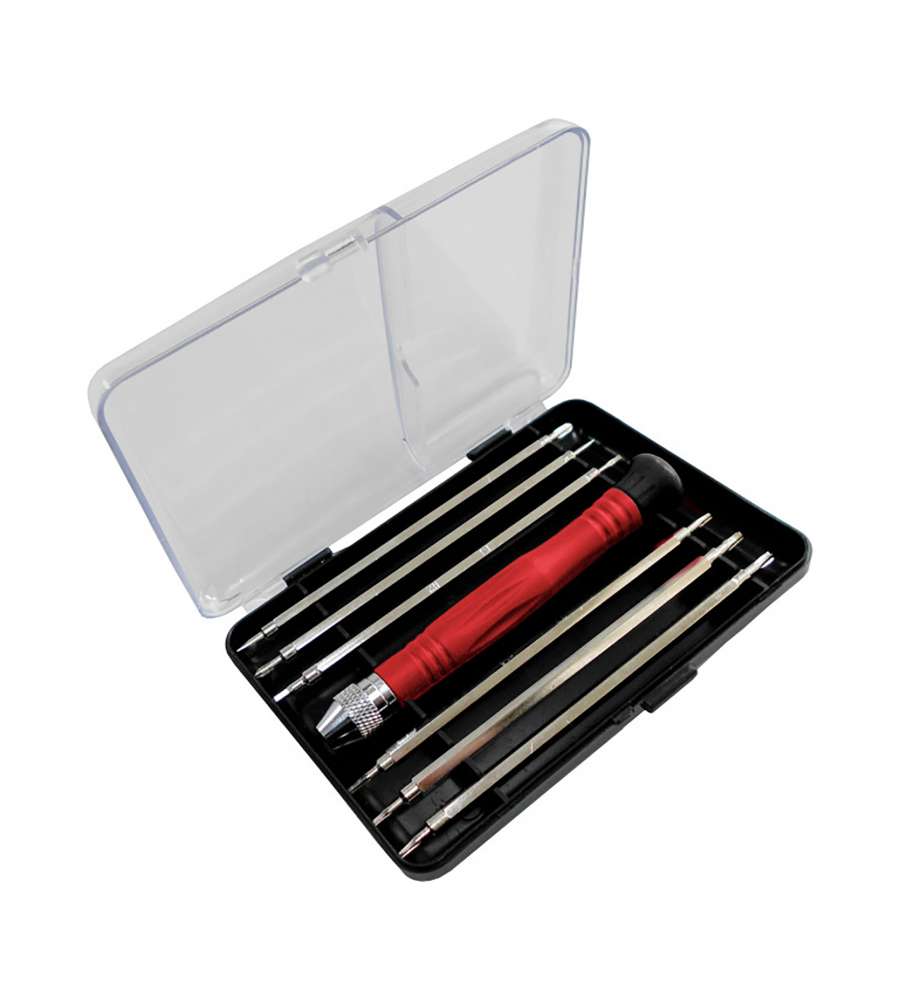 Set giraviti di precisione 6 pz