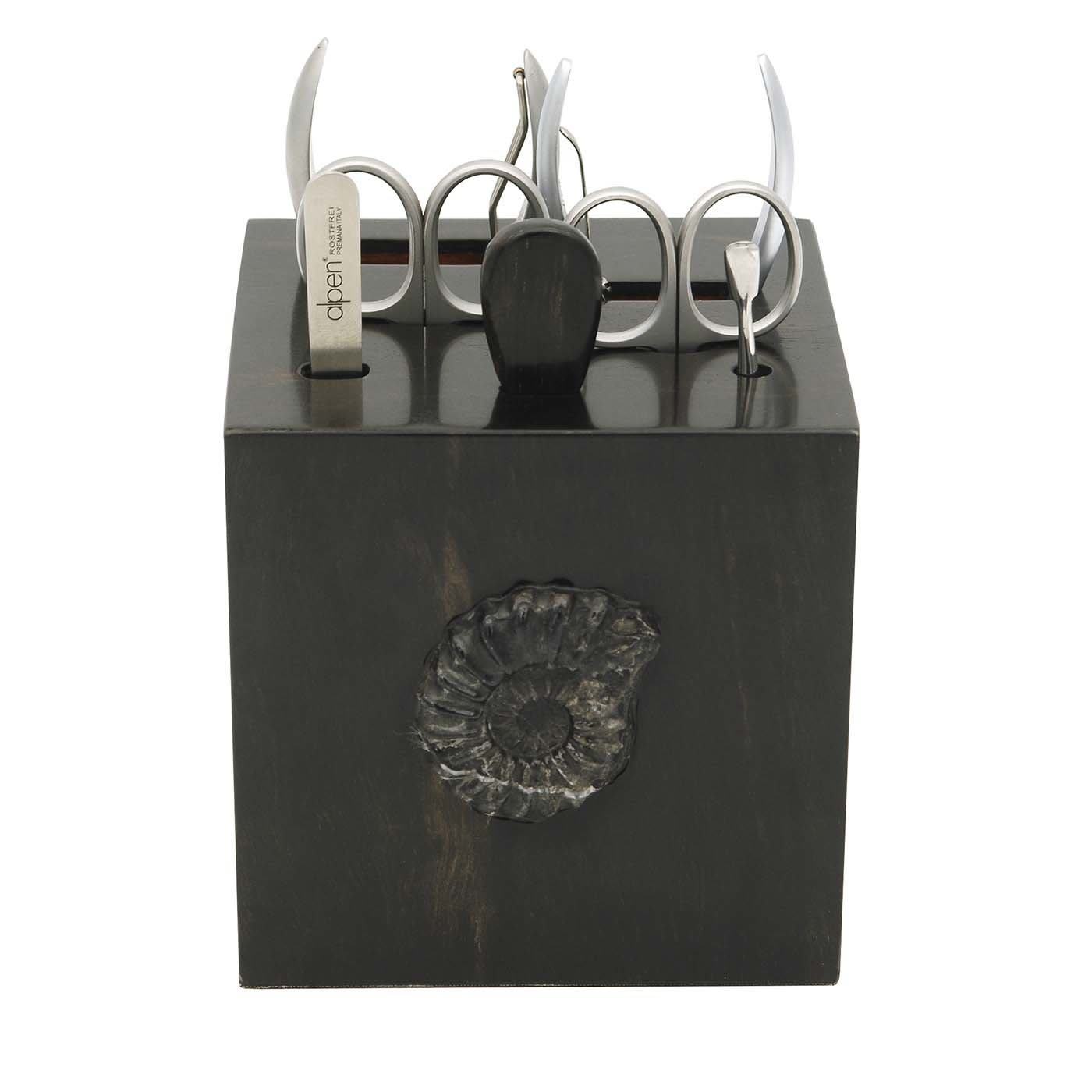 Set manicure in ebano