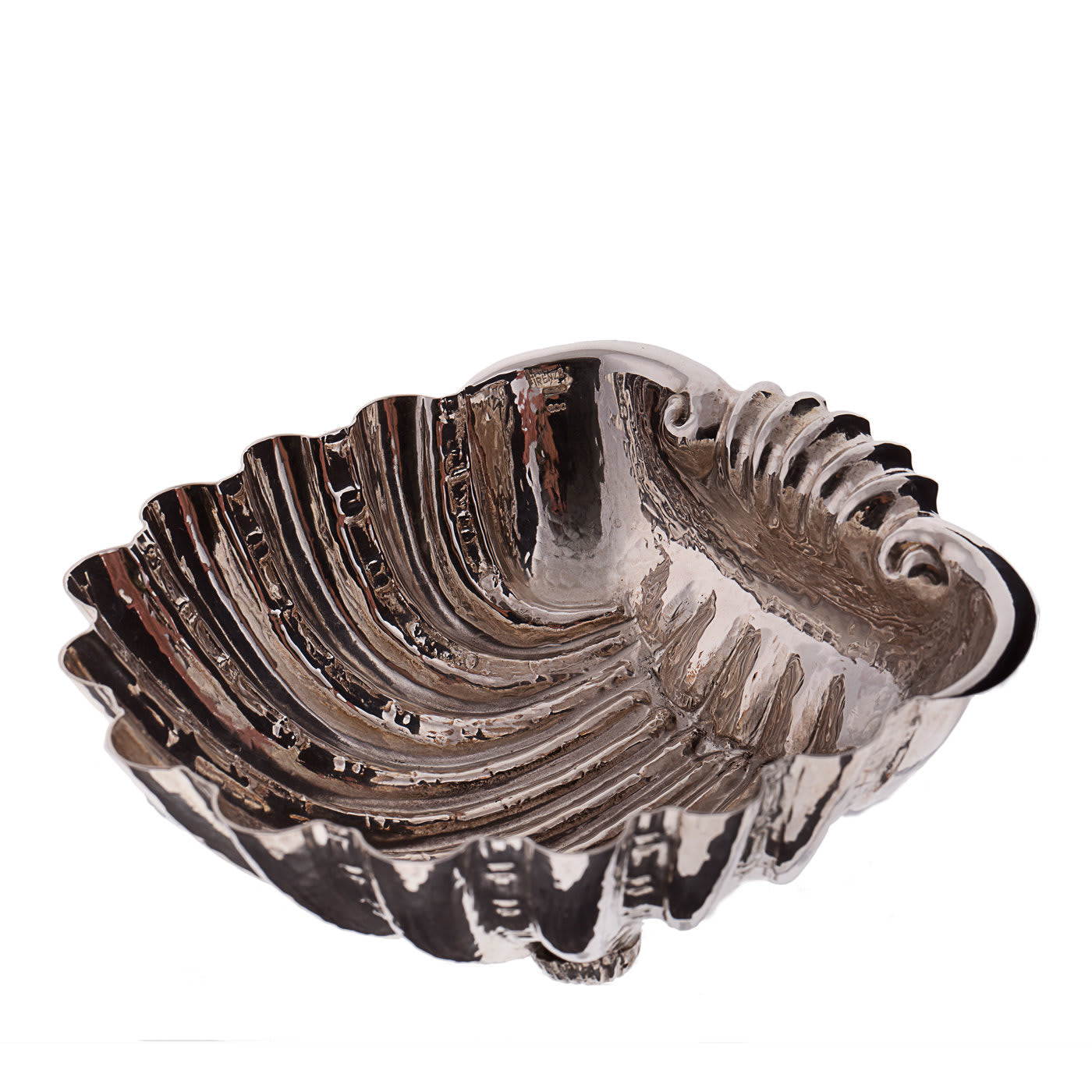 Fondo Mare Conchiglia d'argento