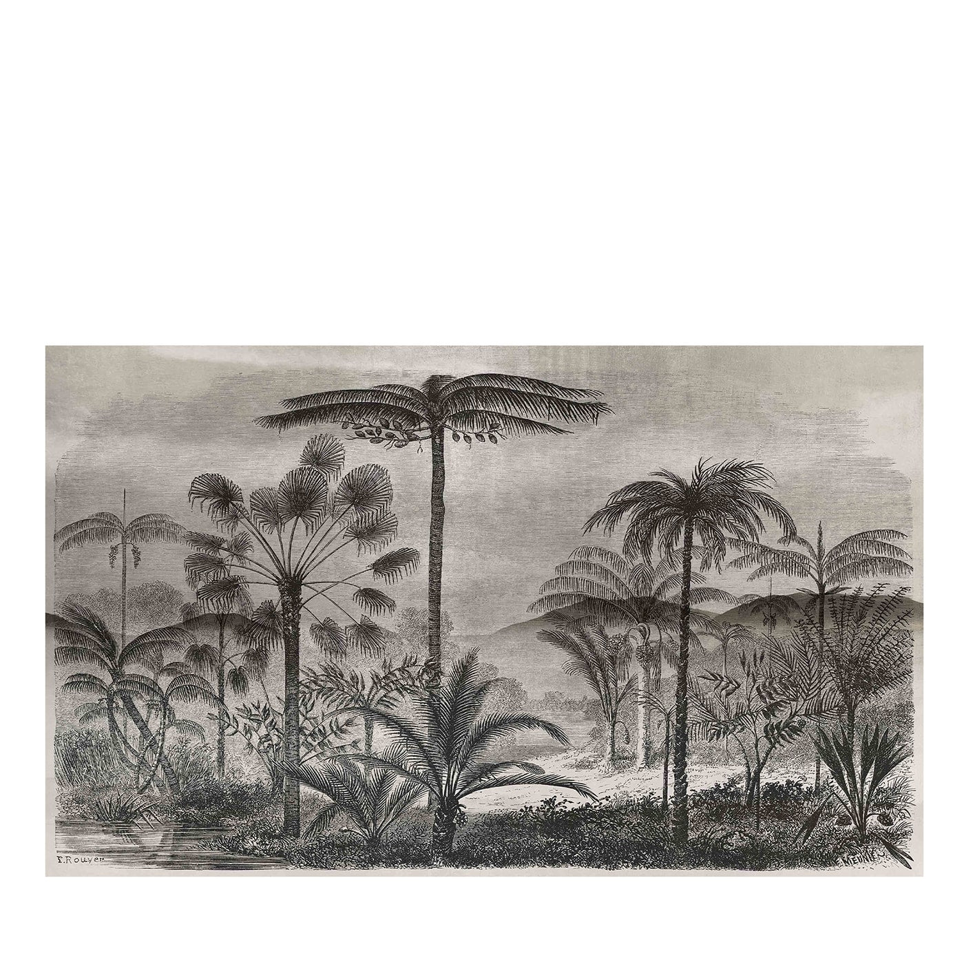 Ucayali Carta da parati