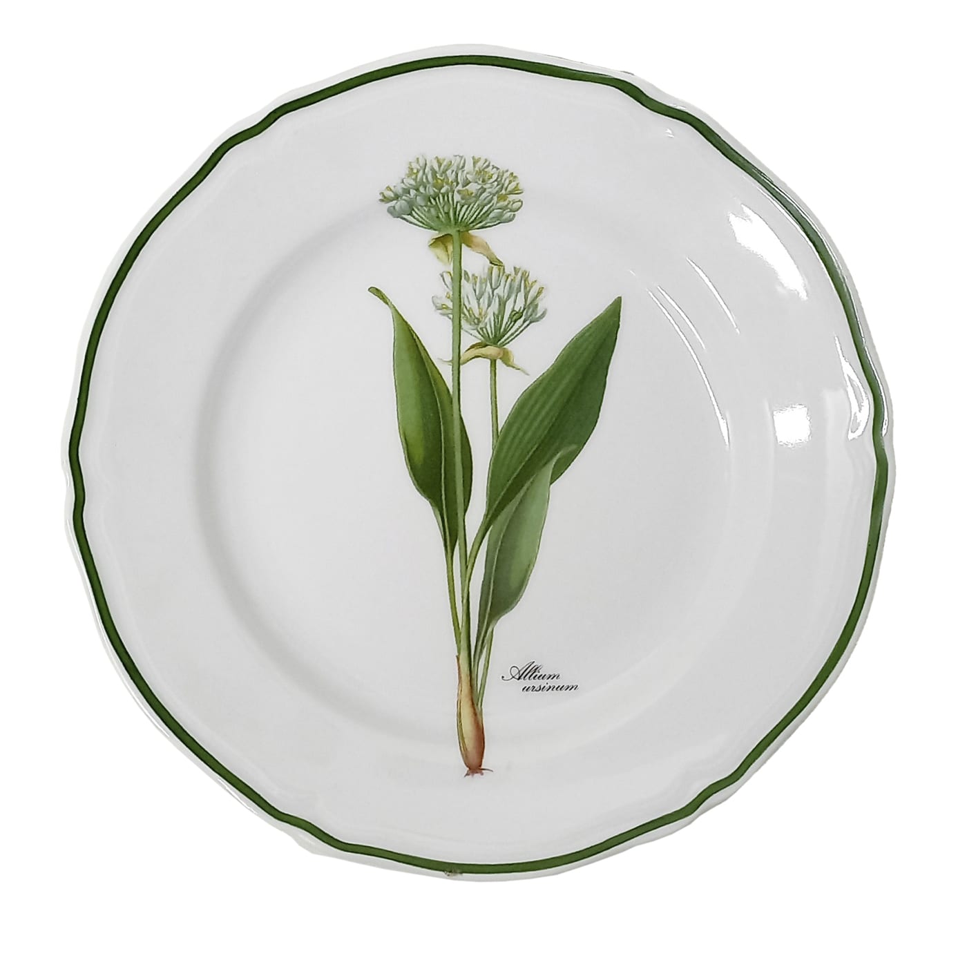 Set di 6 piatti piccoli Botanica