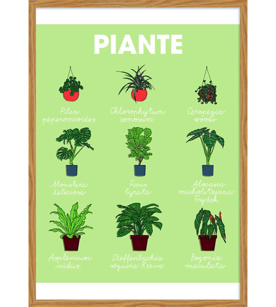 Decoposter Piante