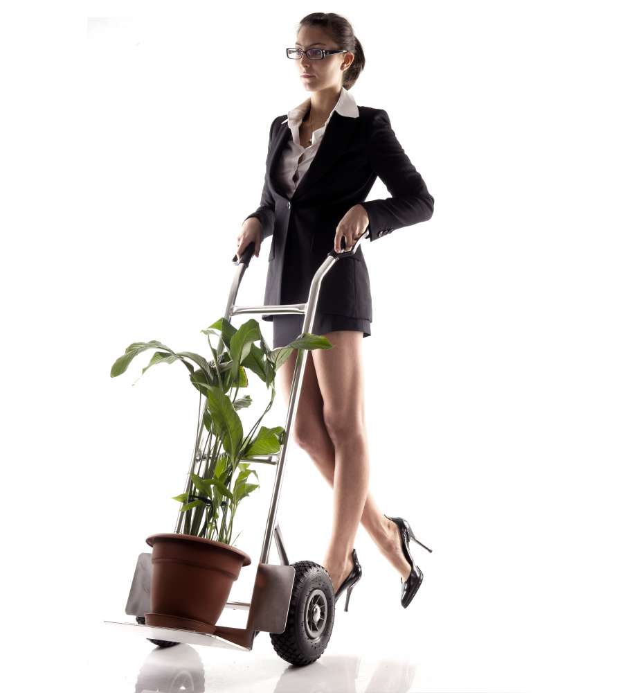 Carrello Alluminio 150 Kg