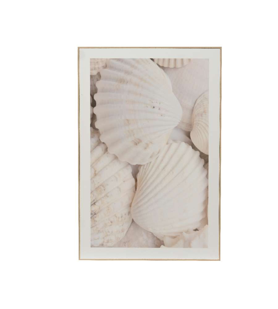 Quadro Conghiglie in legno