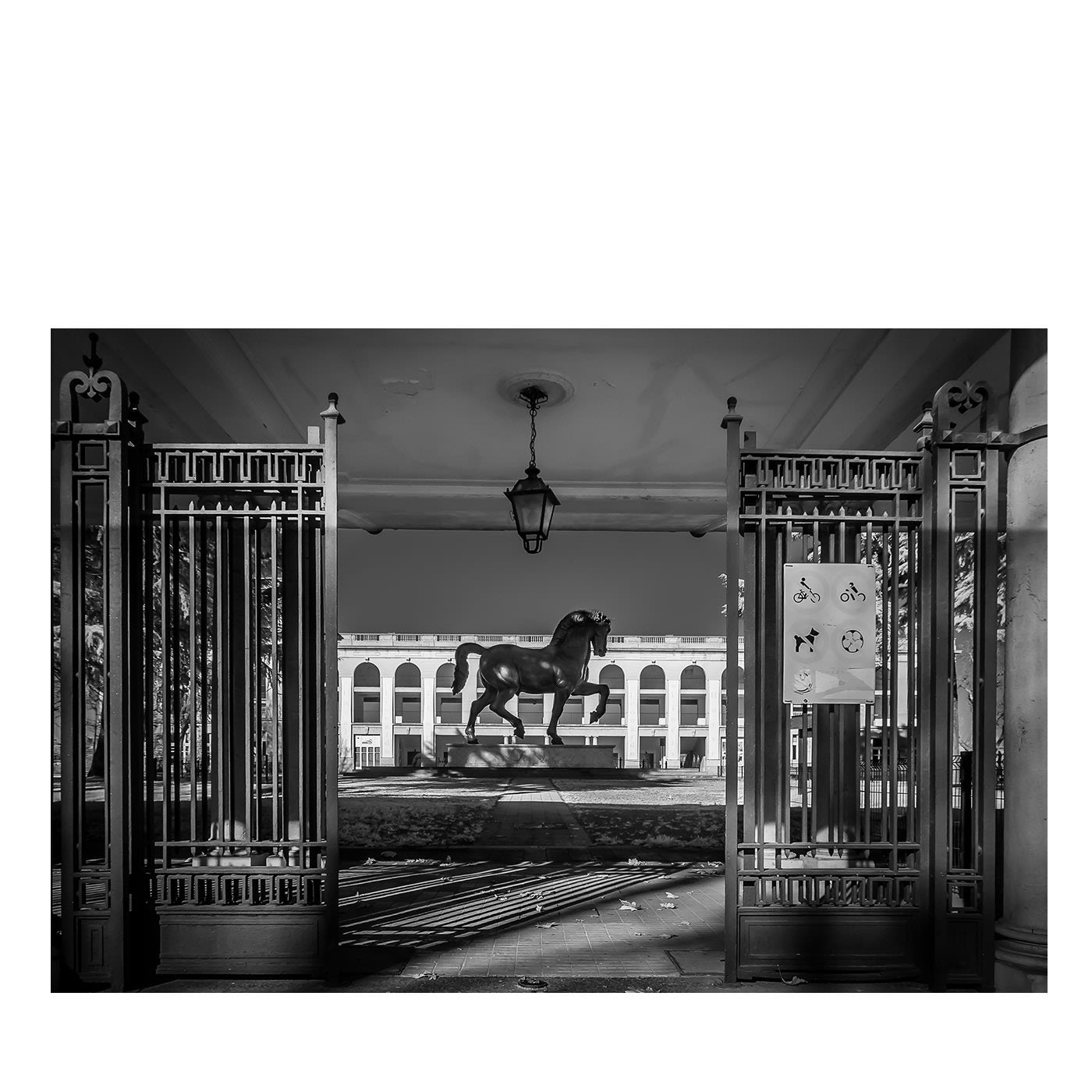 Cavallo di Leonardo #4 Fotografia