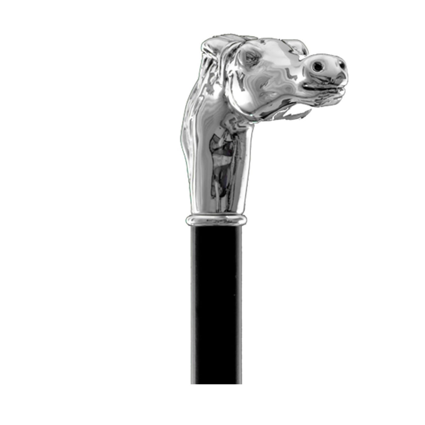 Redini per cavalli Bastone da passeggio