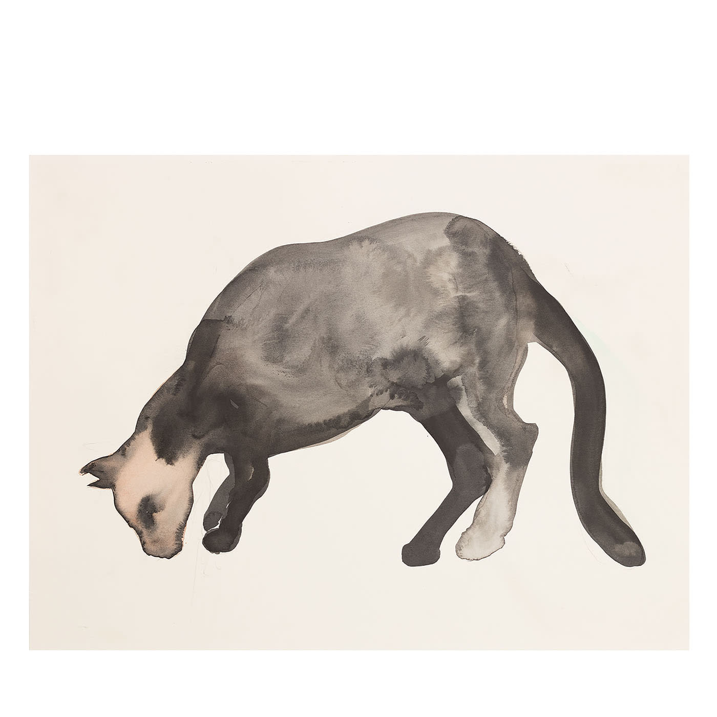 Myself Cat Acquerello su Carta