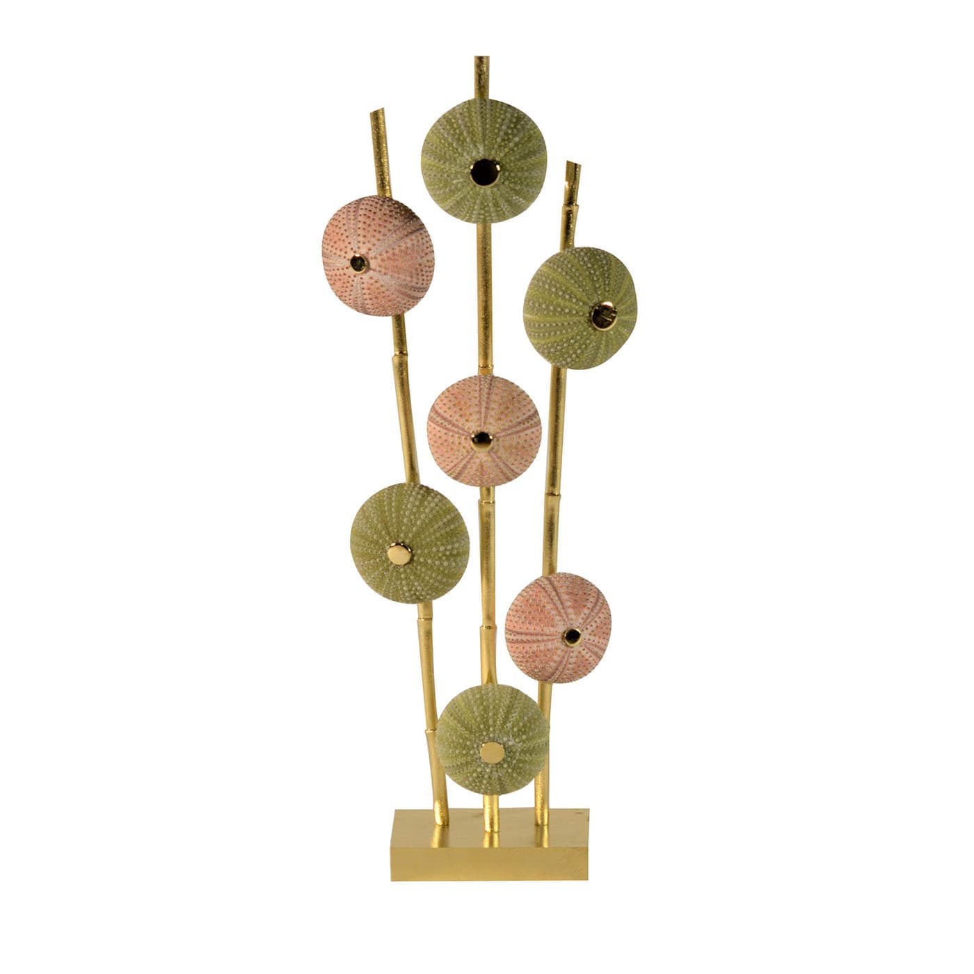 Ricci di mare piccola scultura verde e rosa