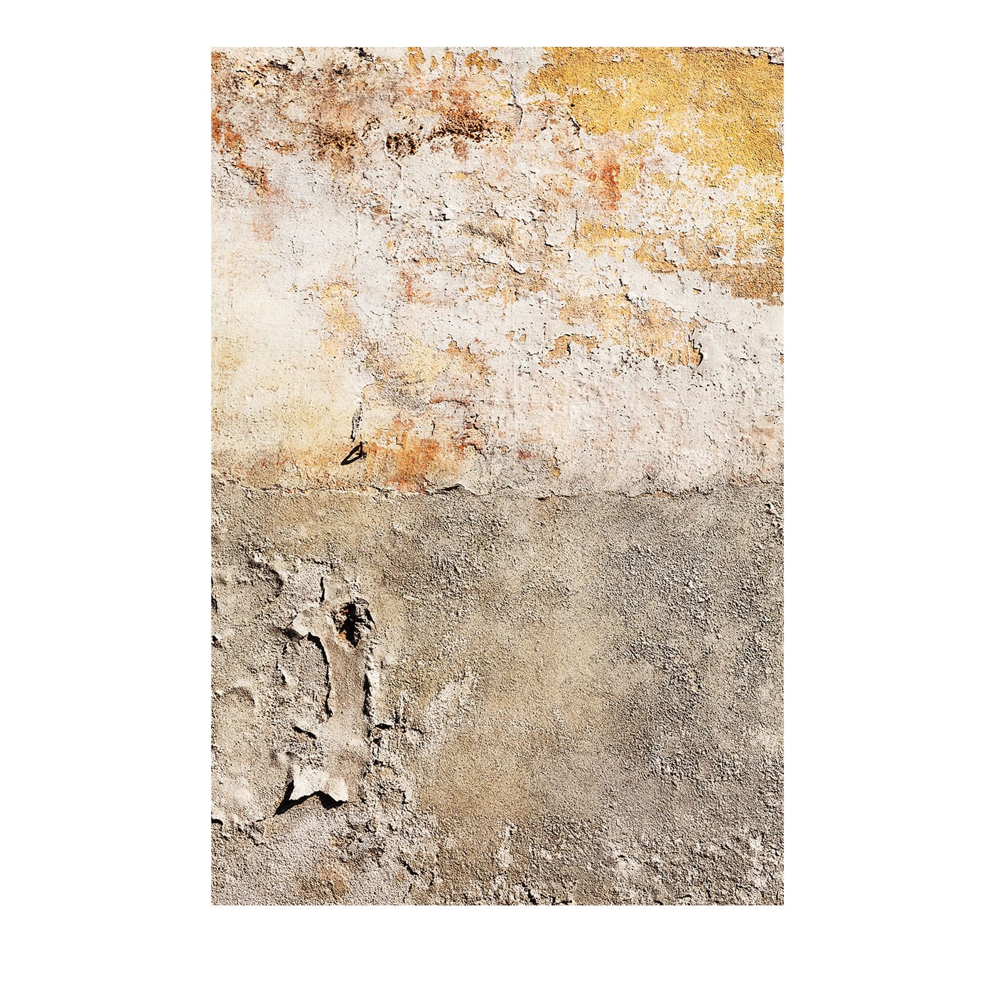 Materia Stampa su Carta Fotograﬁca