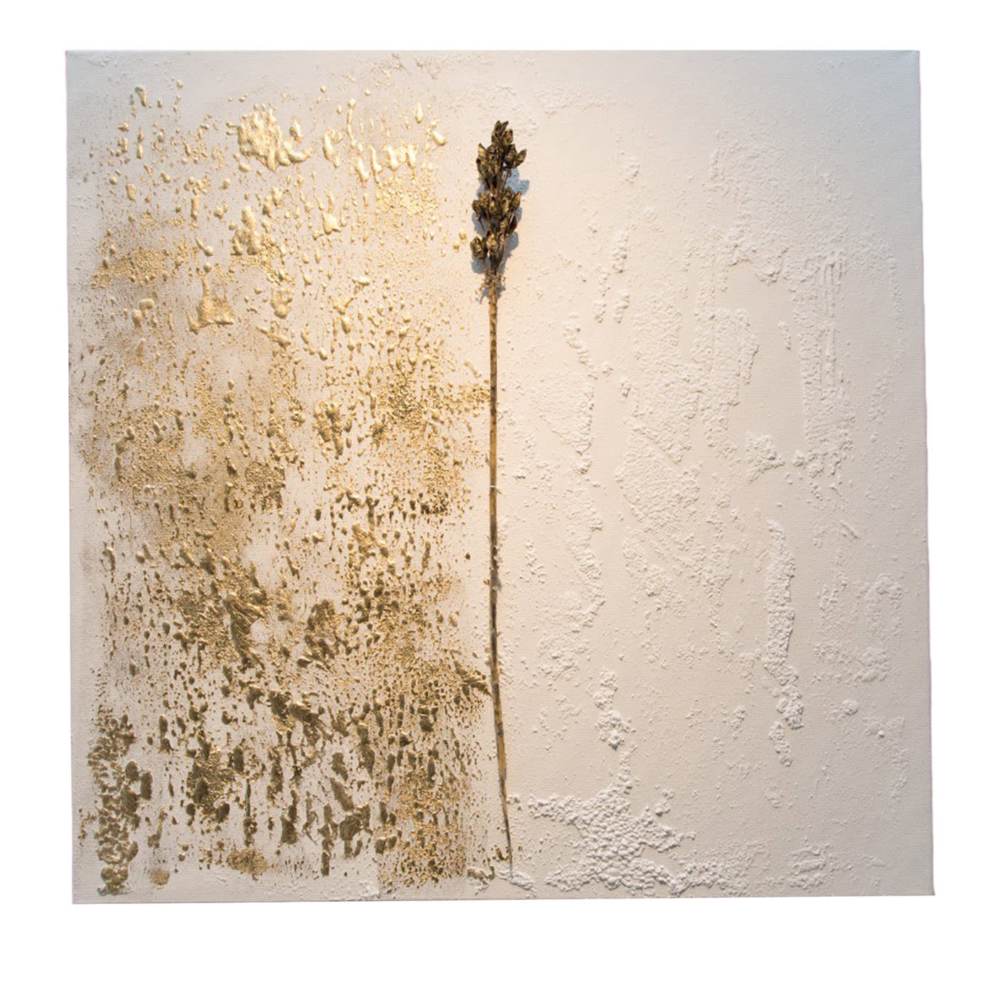 Naturalia 1.2 Opera d'arte