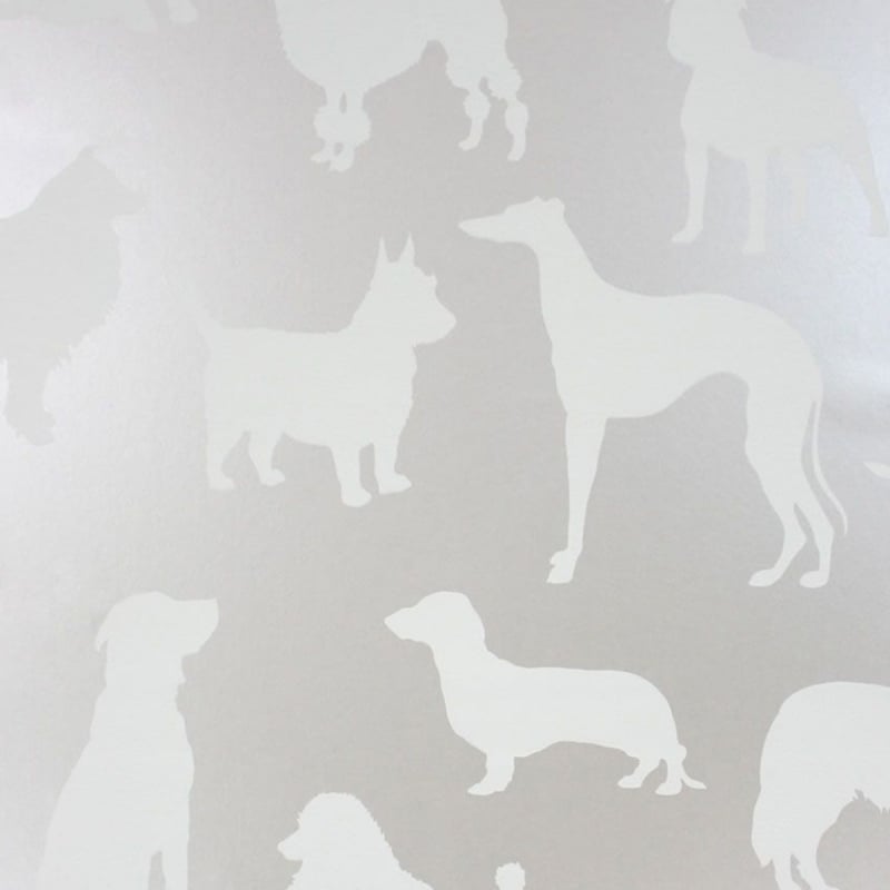 Carta da parati best In Show Osborne and Little