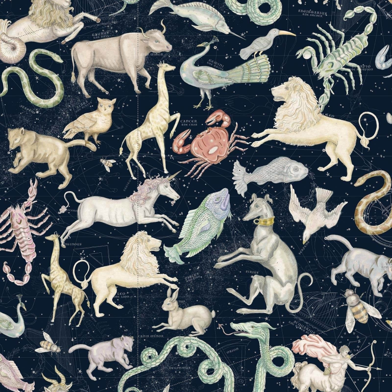 Carta da parati Cosmos House of Hackney