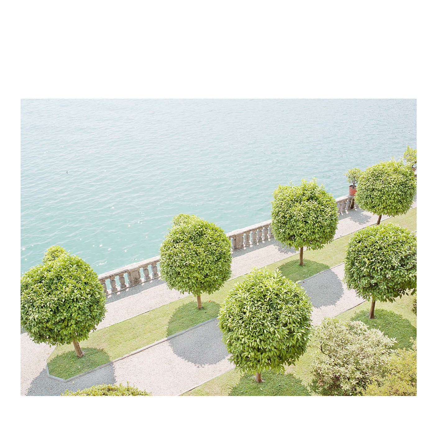 L'ora verde #SIM_ISB_007103 Fotografia