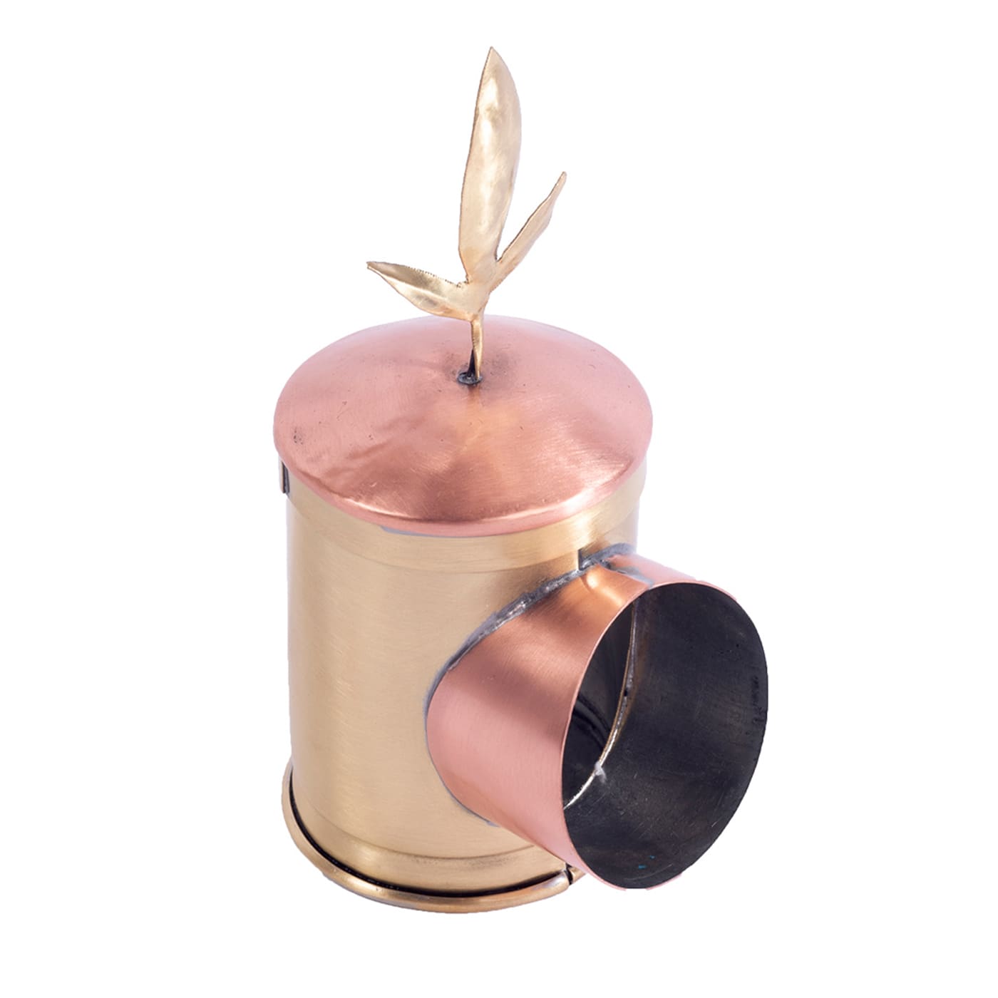 Famiglia Oliva - Degustatore Olfattivo di olio d'oliva Pigi