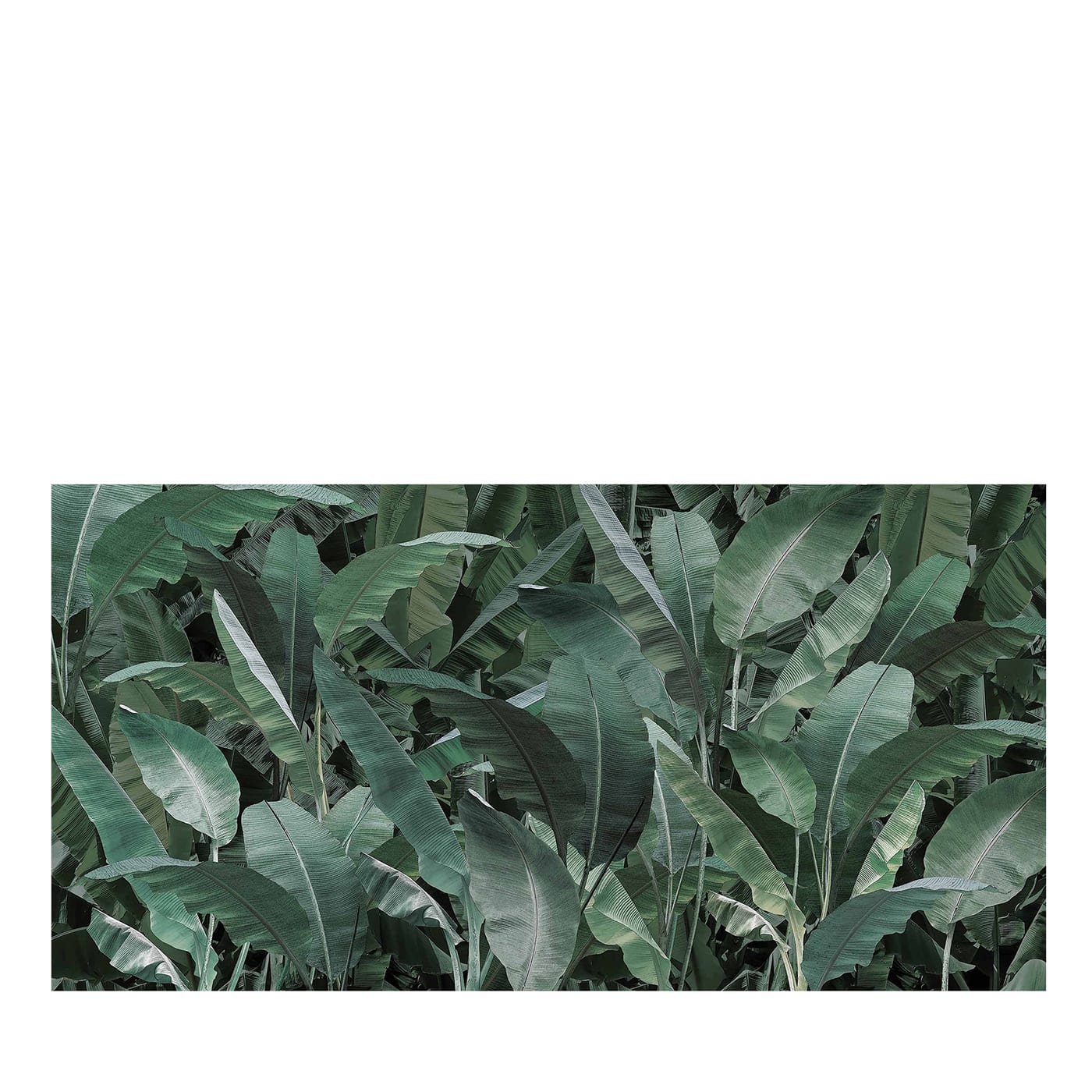 Carta da parati Thai Banano