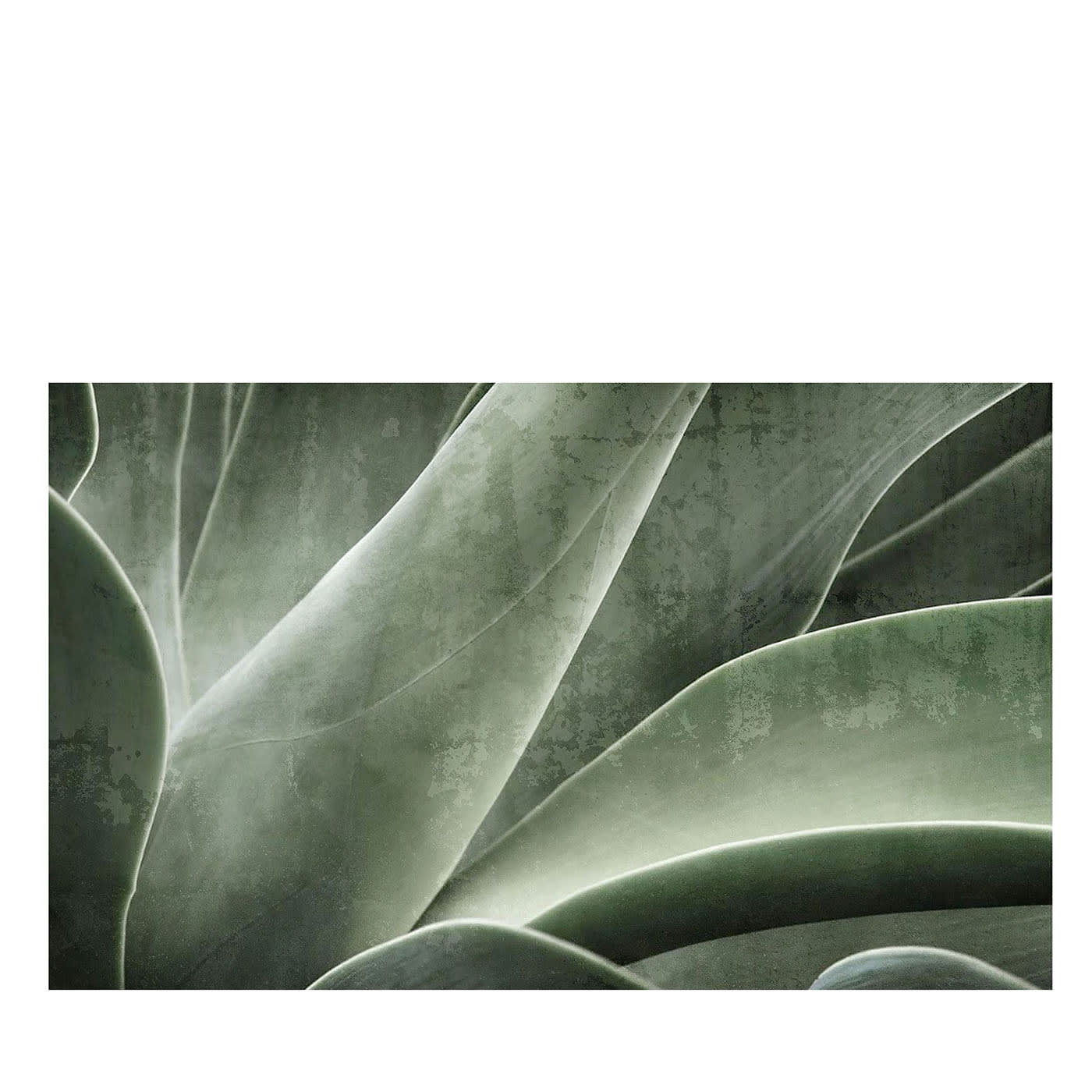 Carta da parati Aloe