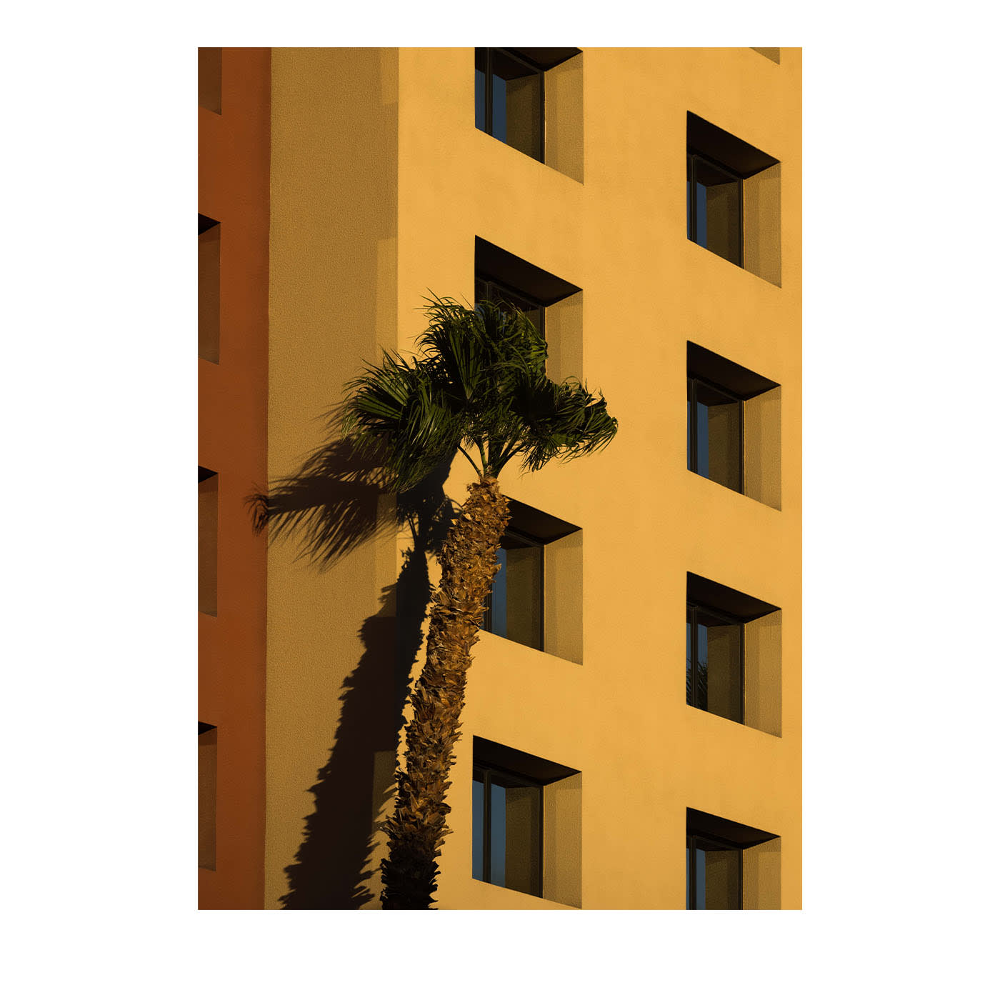 "Fotografia "Brezza di Las Vegas