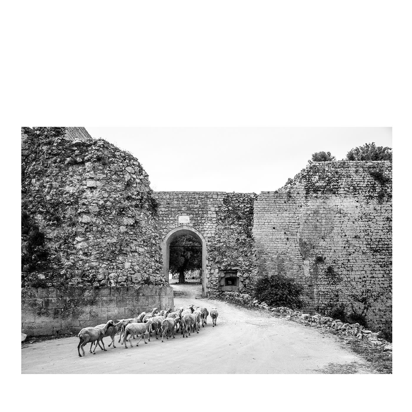 Noto Antica Stampa fotografica in bianco e nero