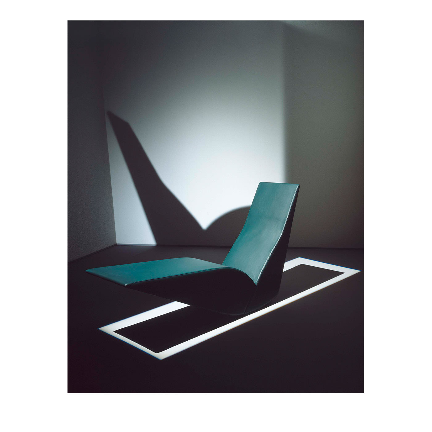 Tom Dixon Bird Photograph