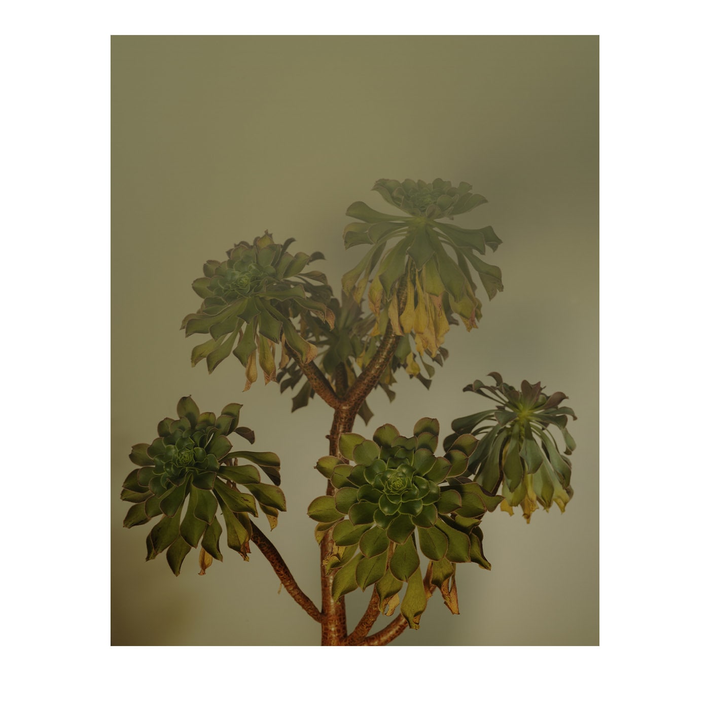 Dove cade la luce prima di partire #3 Fotografia