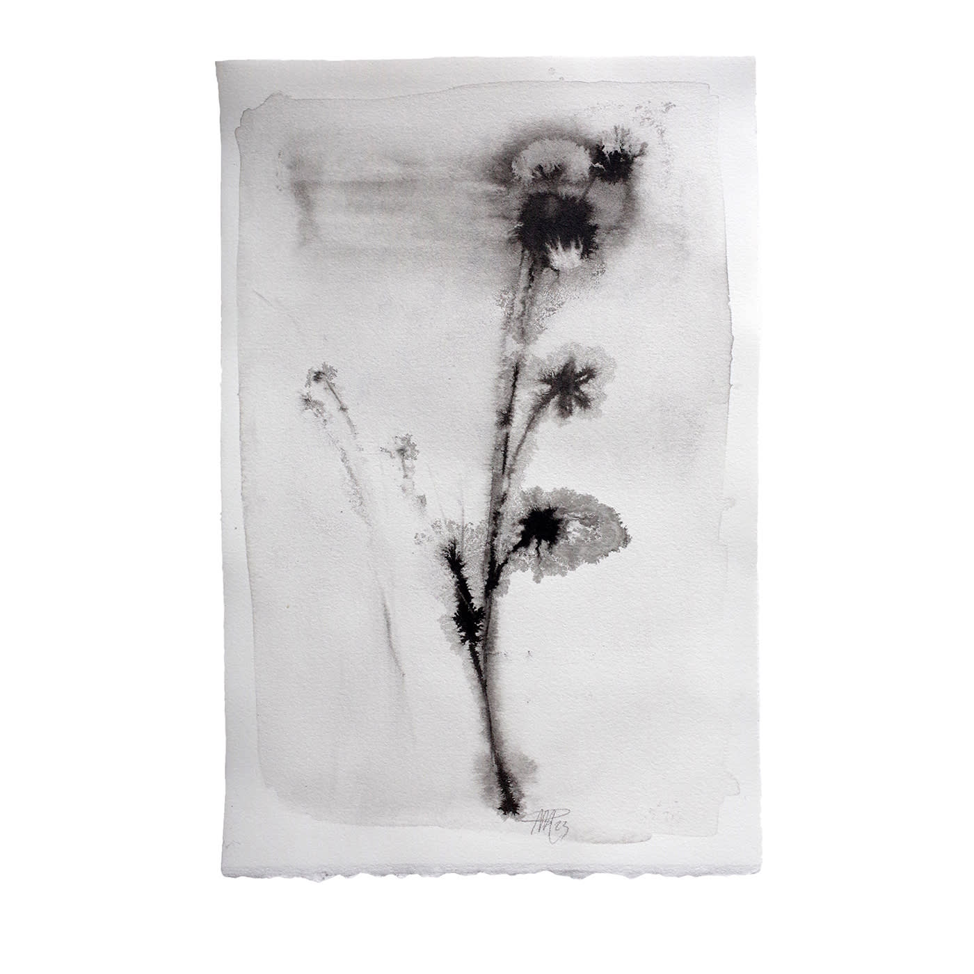 Fiori N.7 Pittura su carta