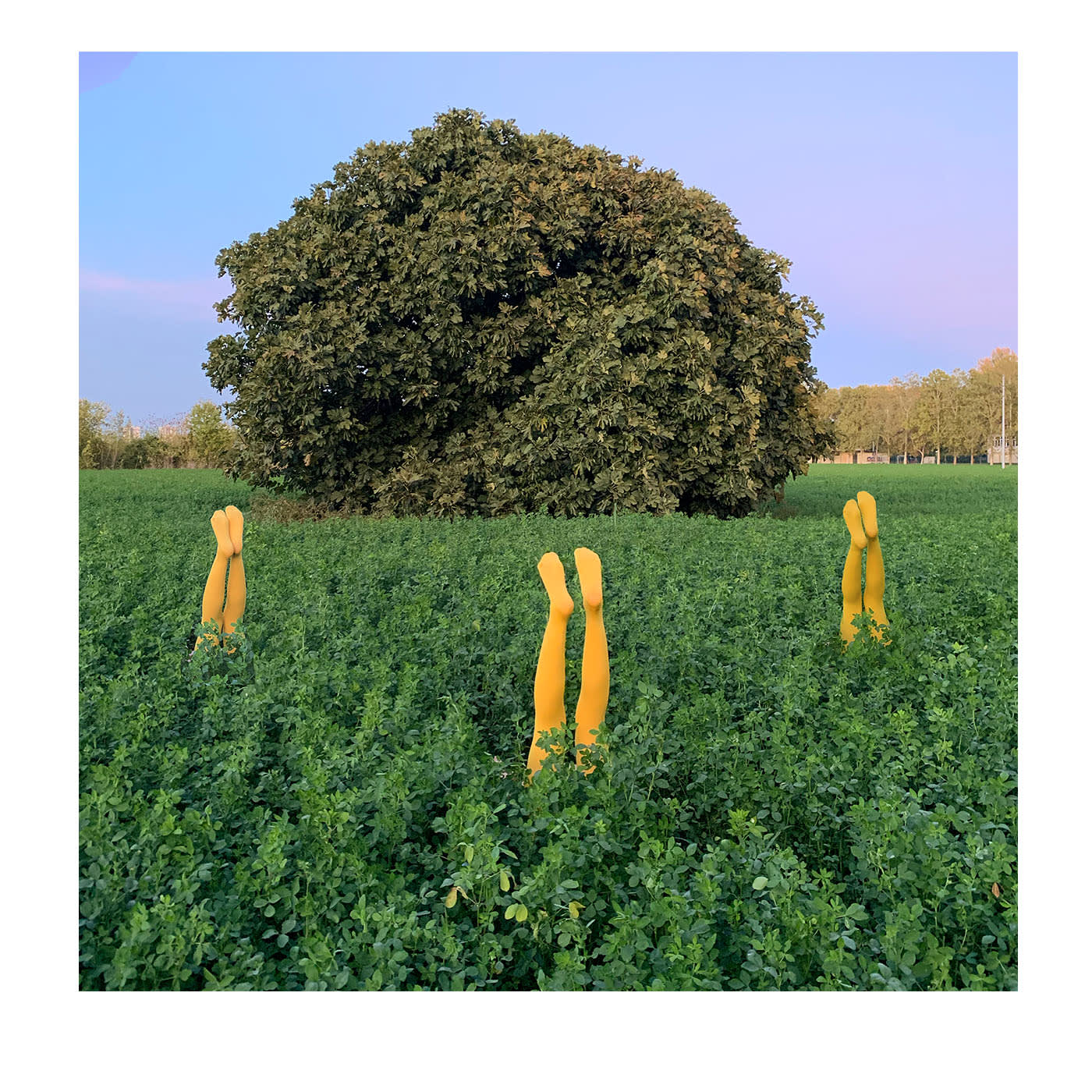 Quella volta che sono uscito a fotografare