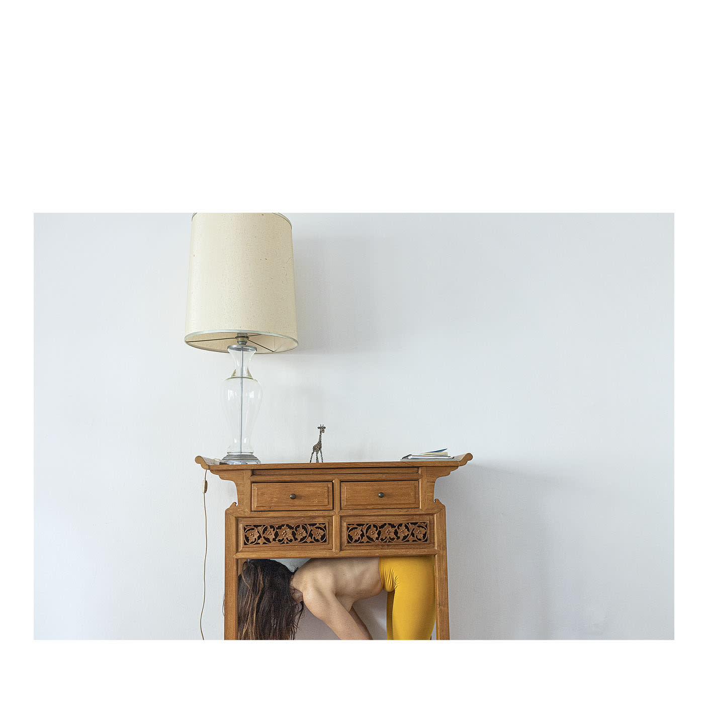 Animali domestici fotografia