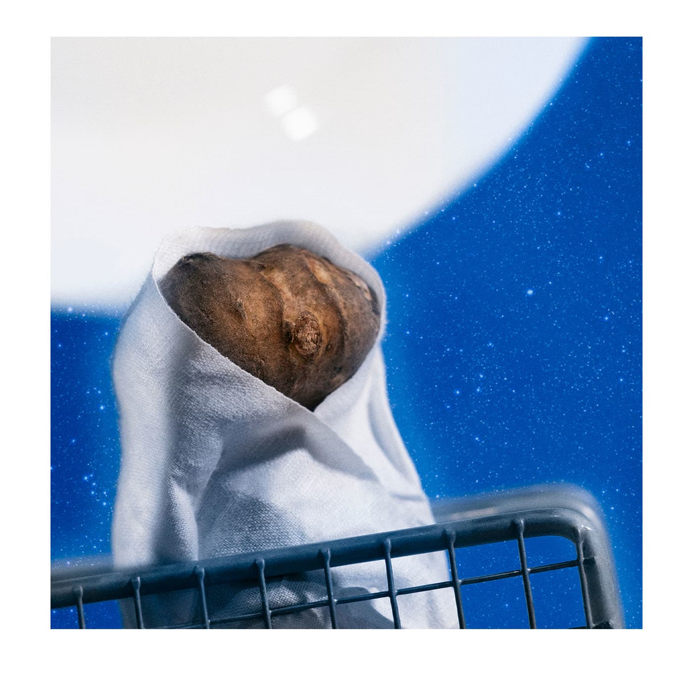 Casa morta #9 Fotografia