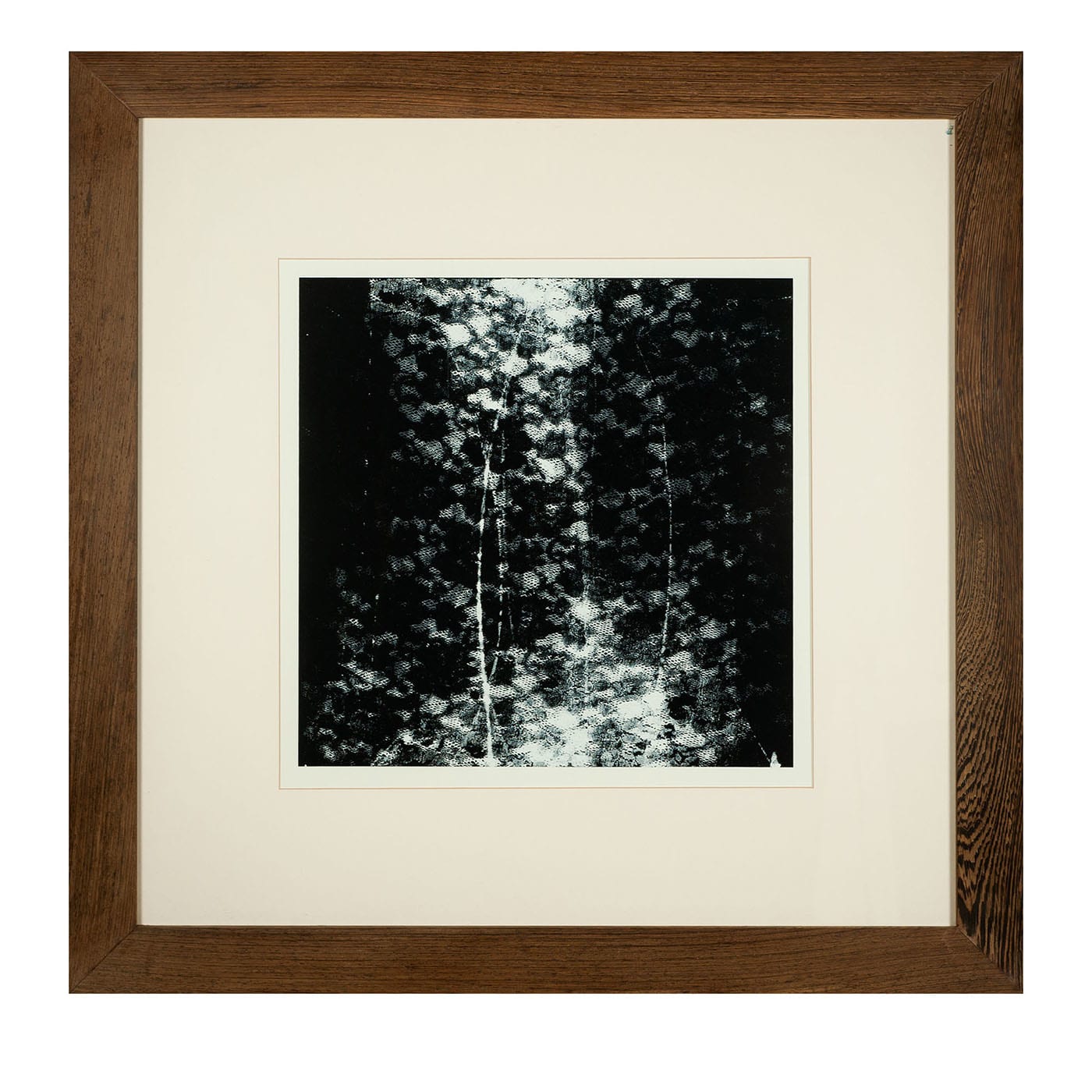 Trame Svelate Serigrafia #2