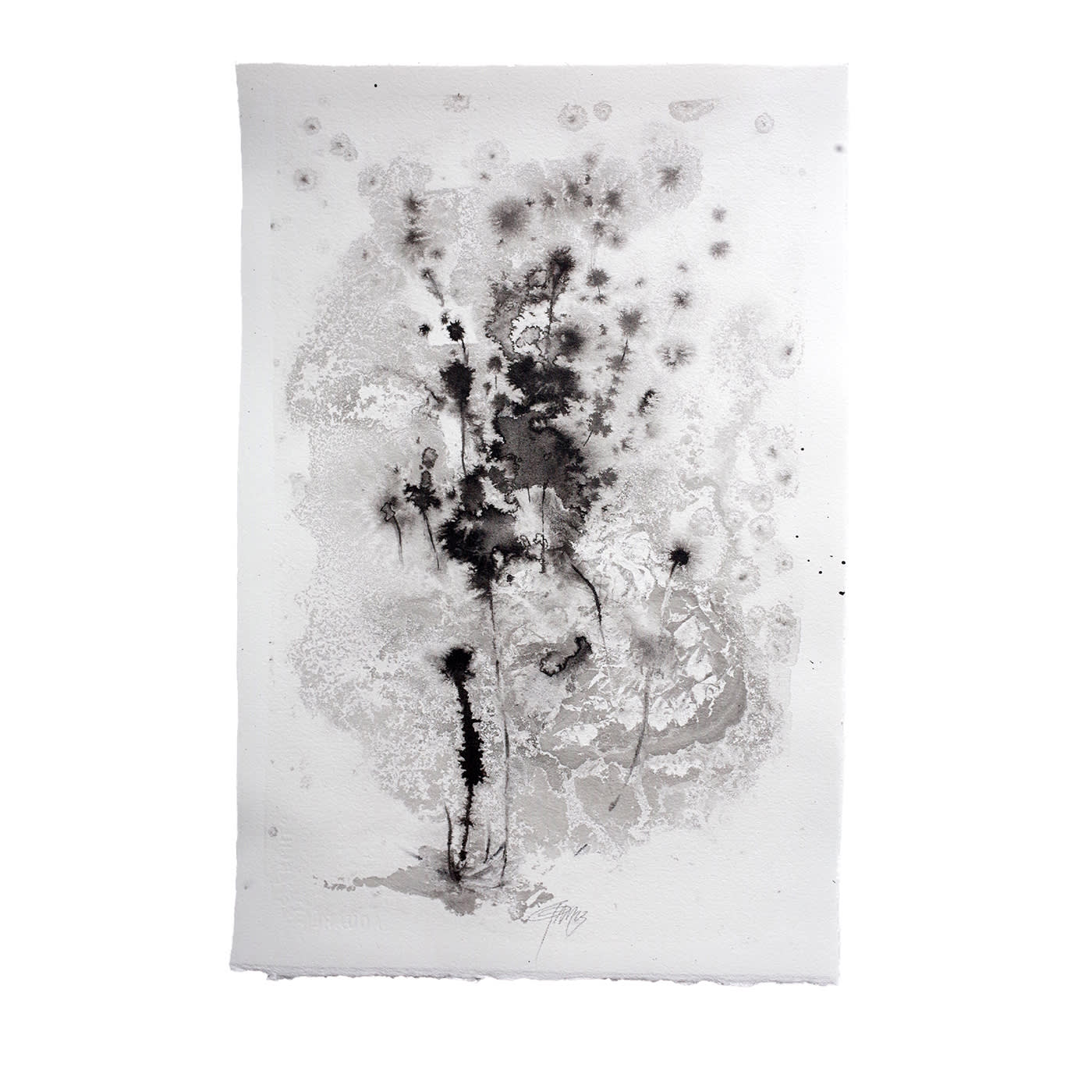 Fiori N.8 Pittura su carta