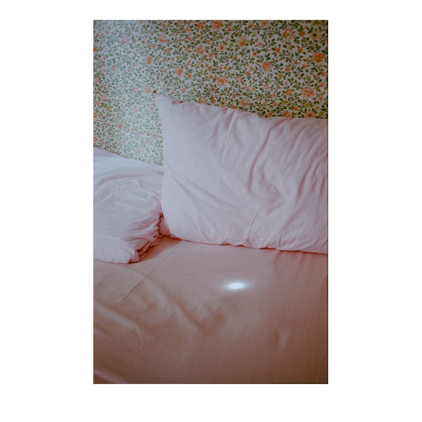 Stampa fotografica Cuscini