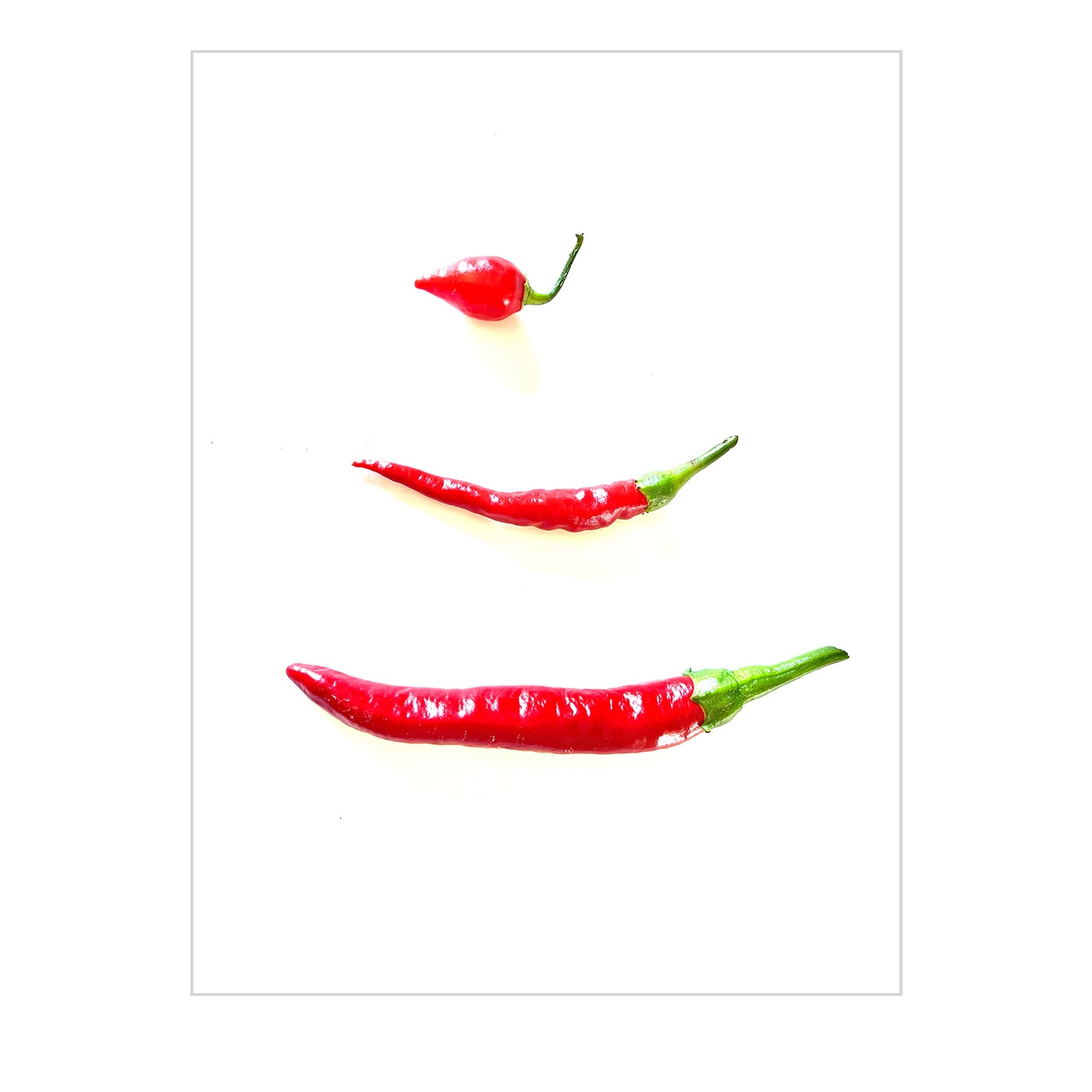 Disegno digitale Capsicum #1