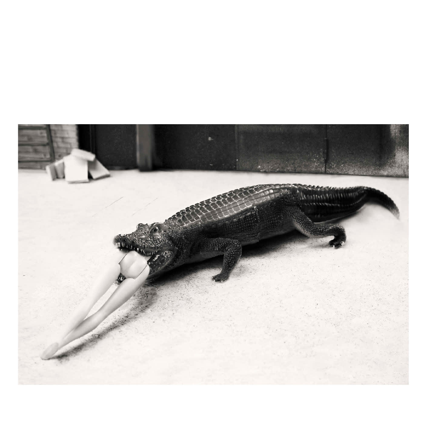 ICONICB_014 2016 Fotografia