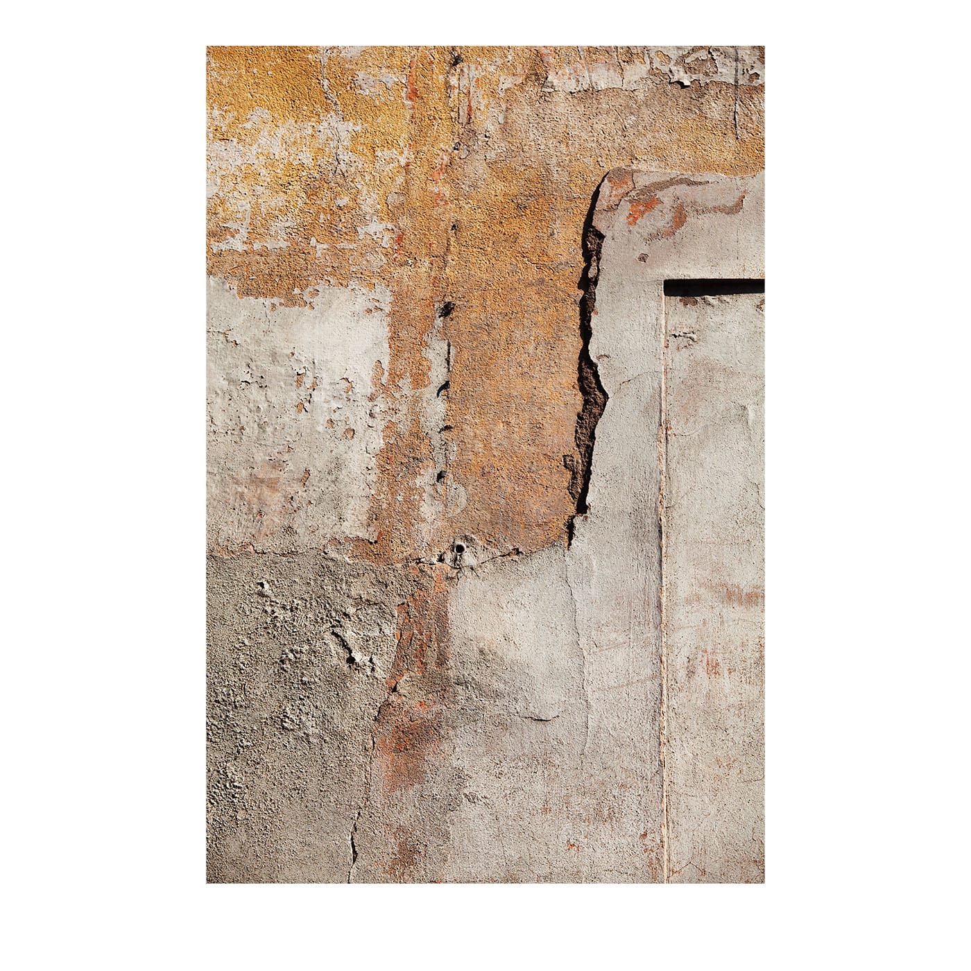 Ocra Stampa su Carta Fotograﬁca