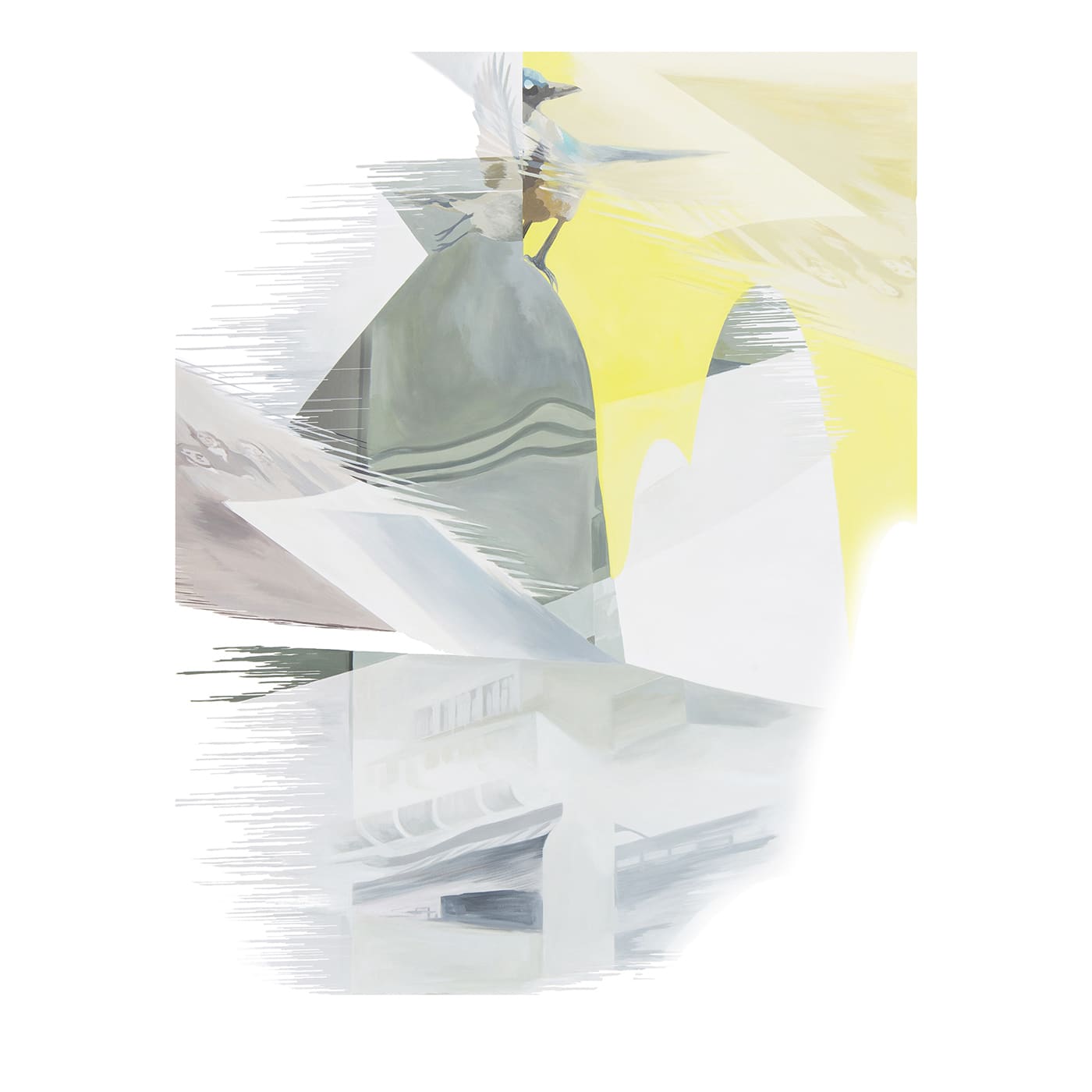 Aphelocoma Californica Pittura