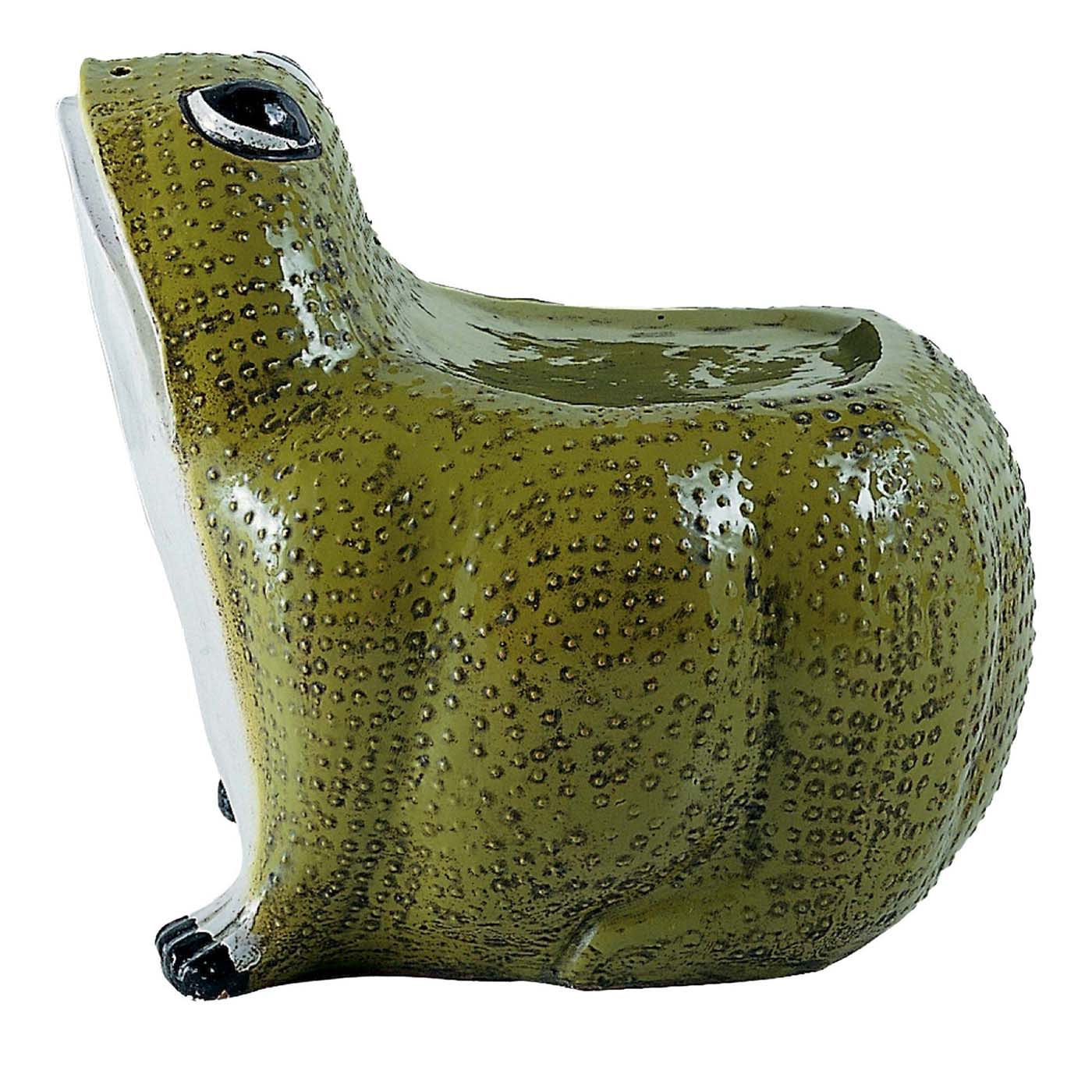 Videopoche verde rana