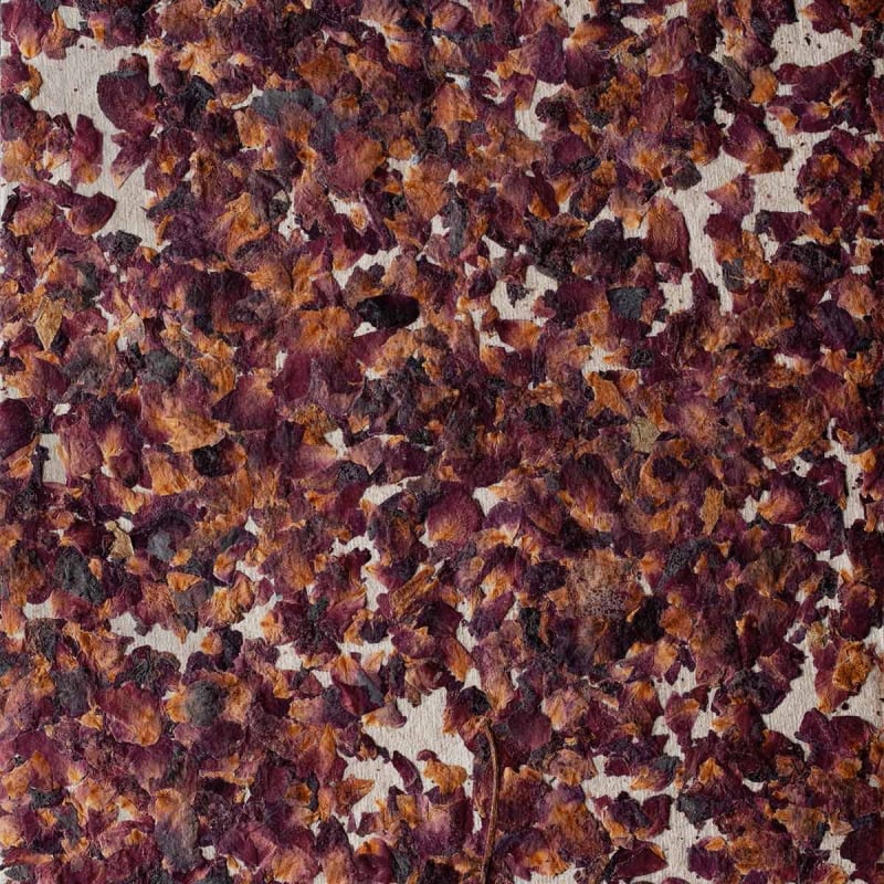 Rivestimento murale Jardin des rosas SuperOrganic by Oberflex