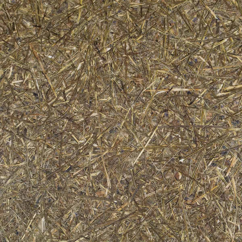 Rivestimento murale Lavande SuperOrganic by Oberflex