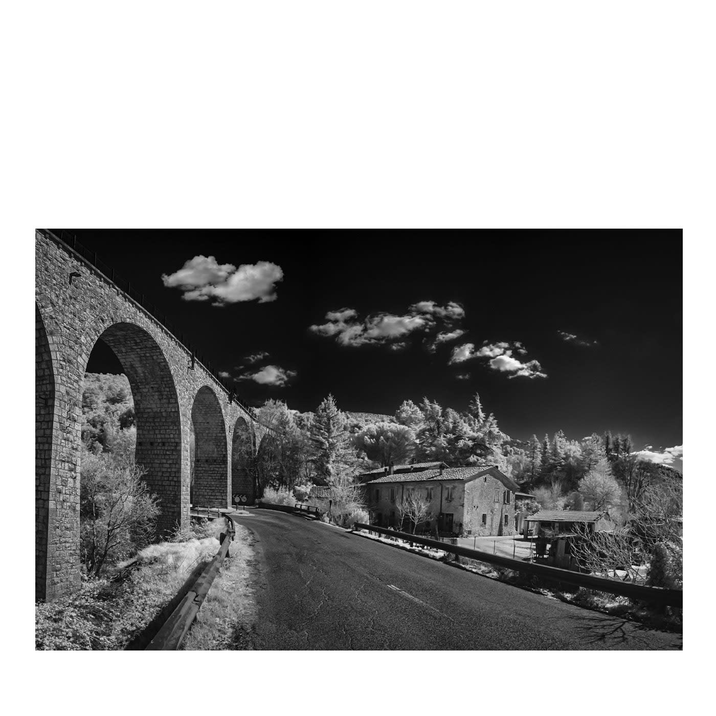 Fotografia di Carpareccia