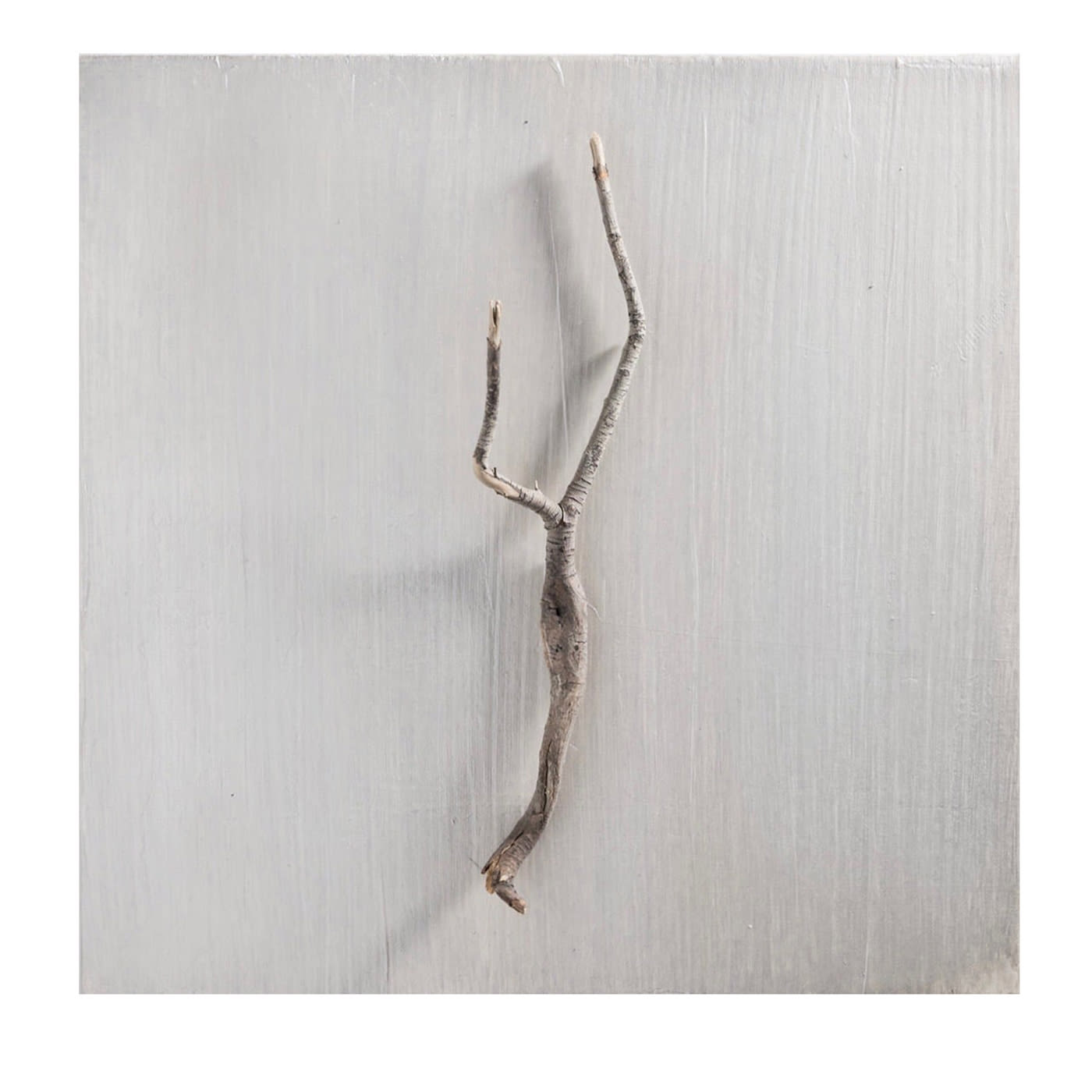 Naturalia Corpus Opera d'arte